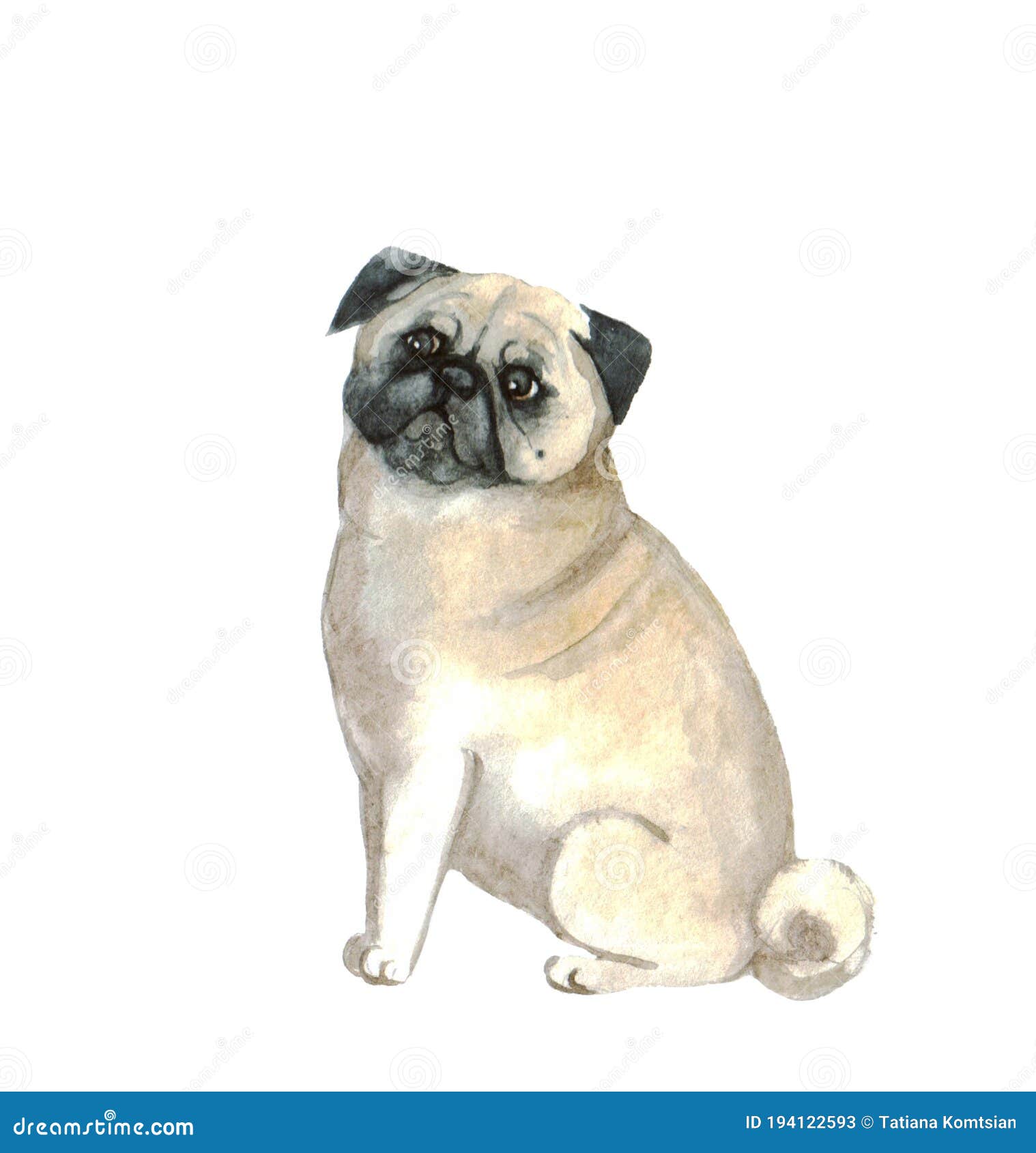 Color De Agua Tierno Pug Sobre El Fondo Blanco Ilusion De Perro Sobre El Fondo Blanco Stock De Ilustracion Ilustracion De Divertido Feliz Color De Agua Tierno Pug Sobre El Fondo Blanco Ilusion De Perro Sobre El Fondo Blanco Stock De Ilustracion Ilustracion De Divertido Feliz