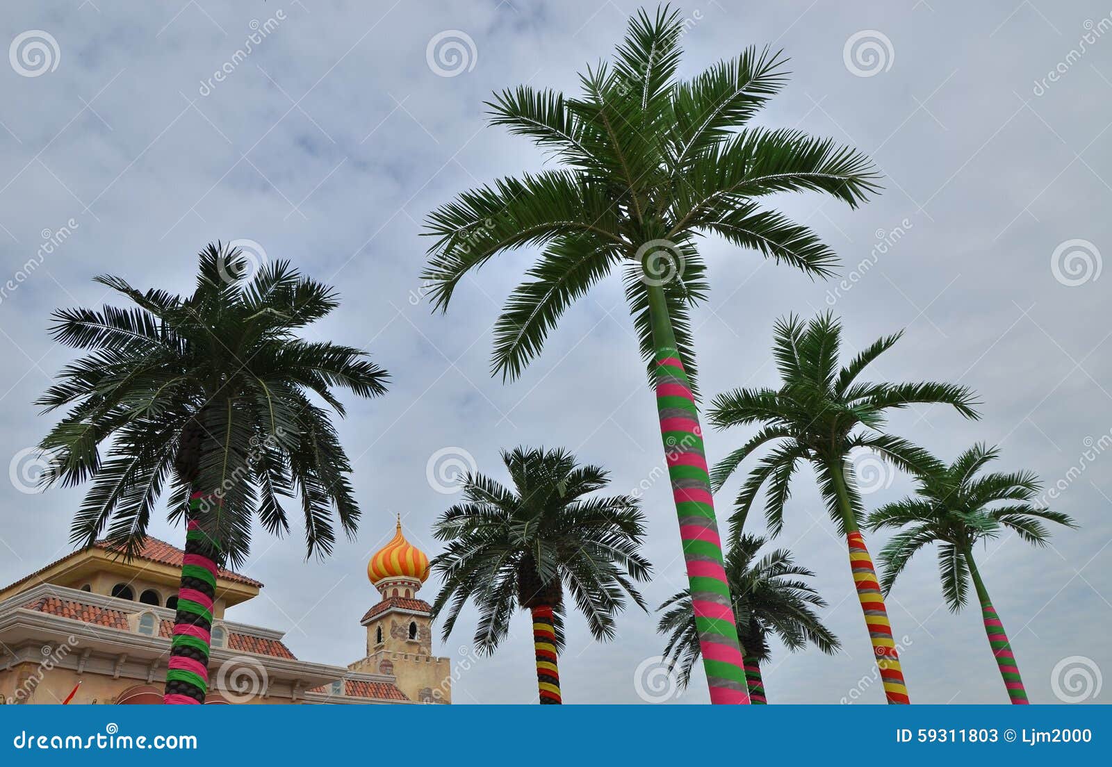 Color Decorative Palm Trees Stock Image Image of casual, atlantic 59311803