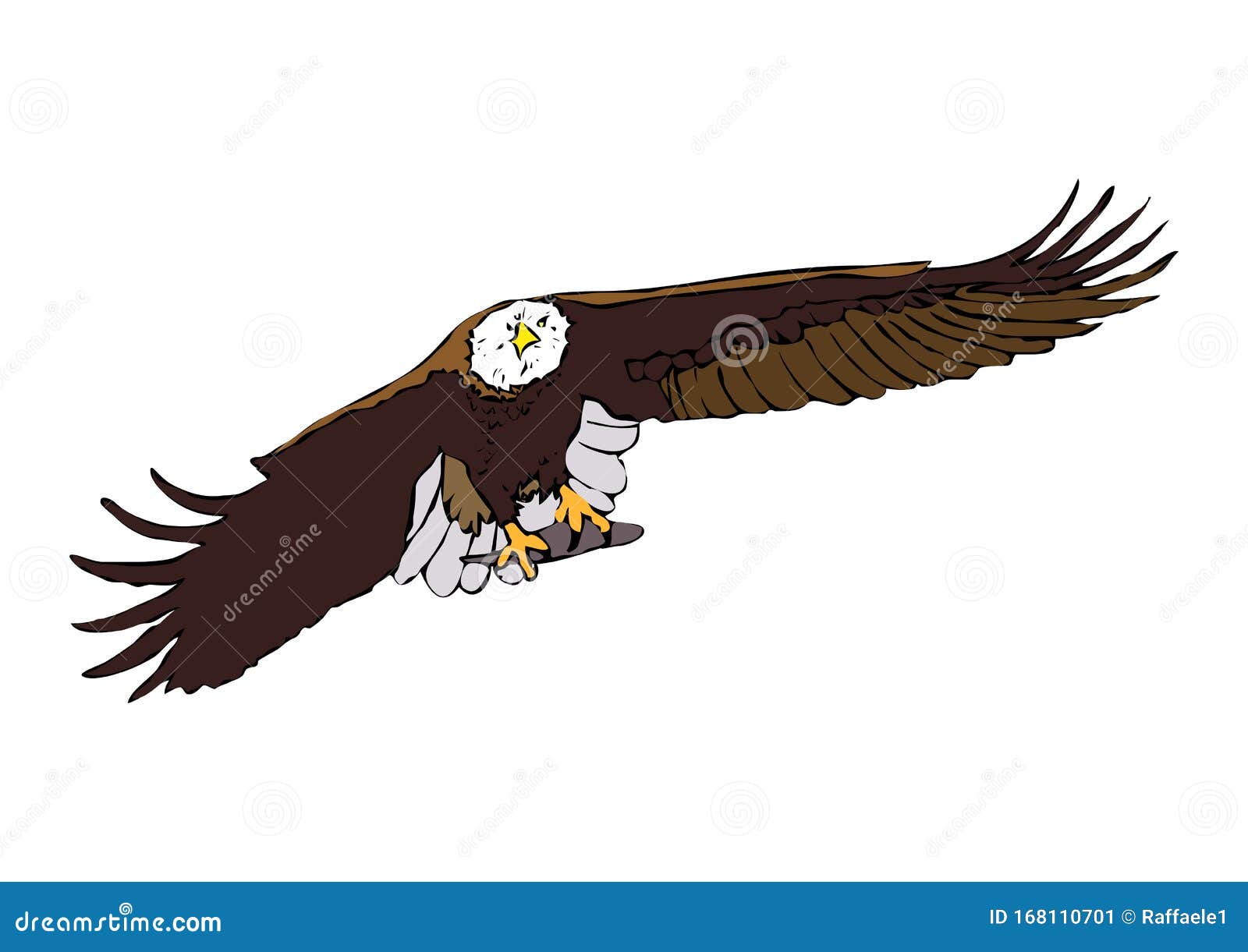 eagle  color