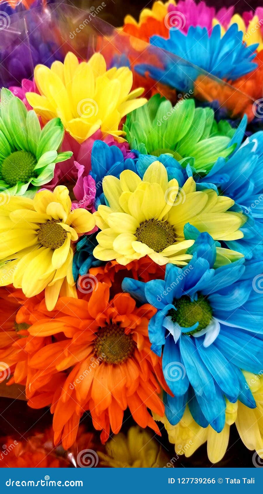 Color flowers stock photo. Image of flowers, summer - 127739266