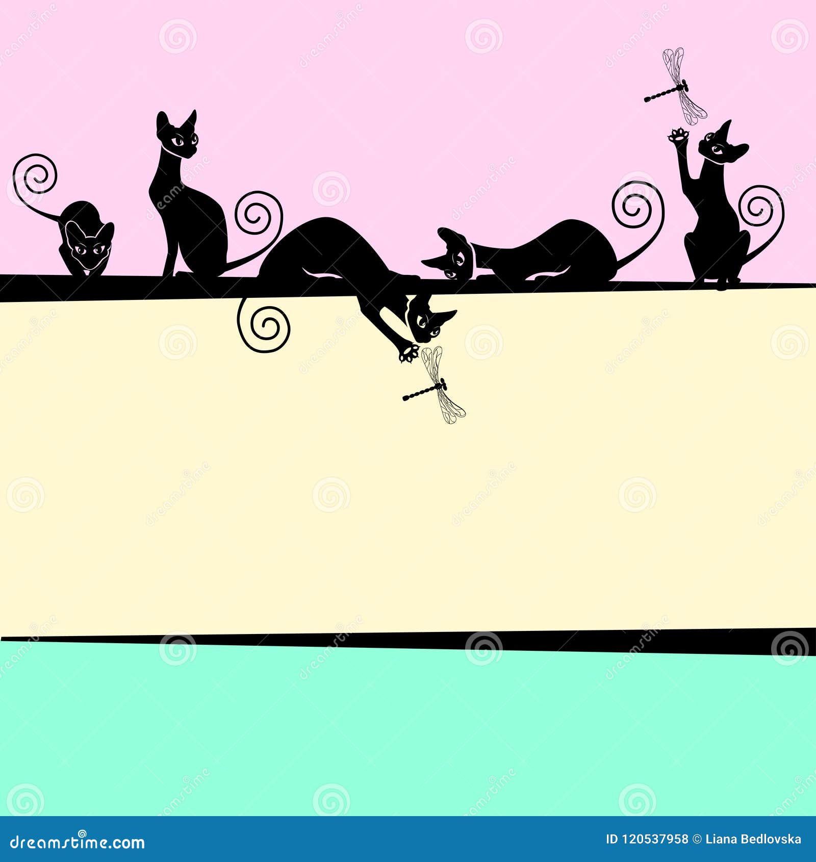 Color Frames with Black Cats Stock Vector Illustration of outline, mammal 120537958