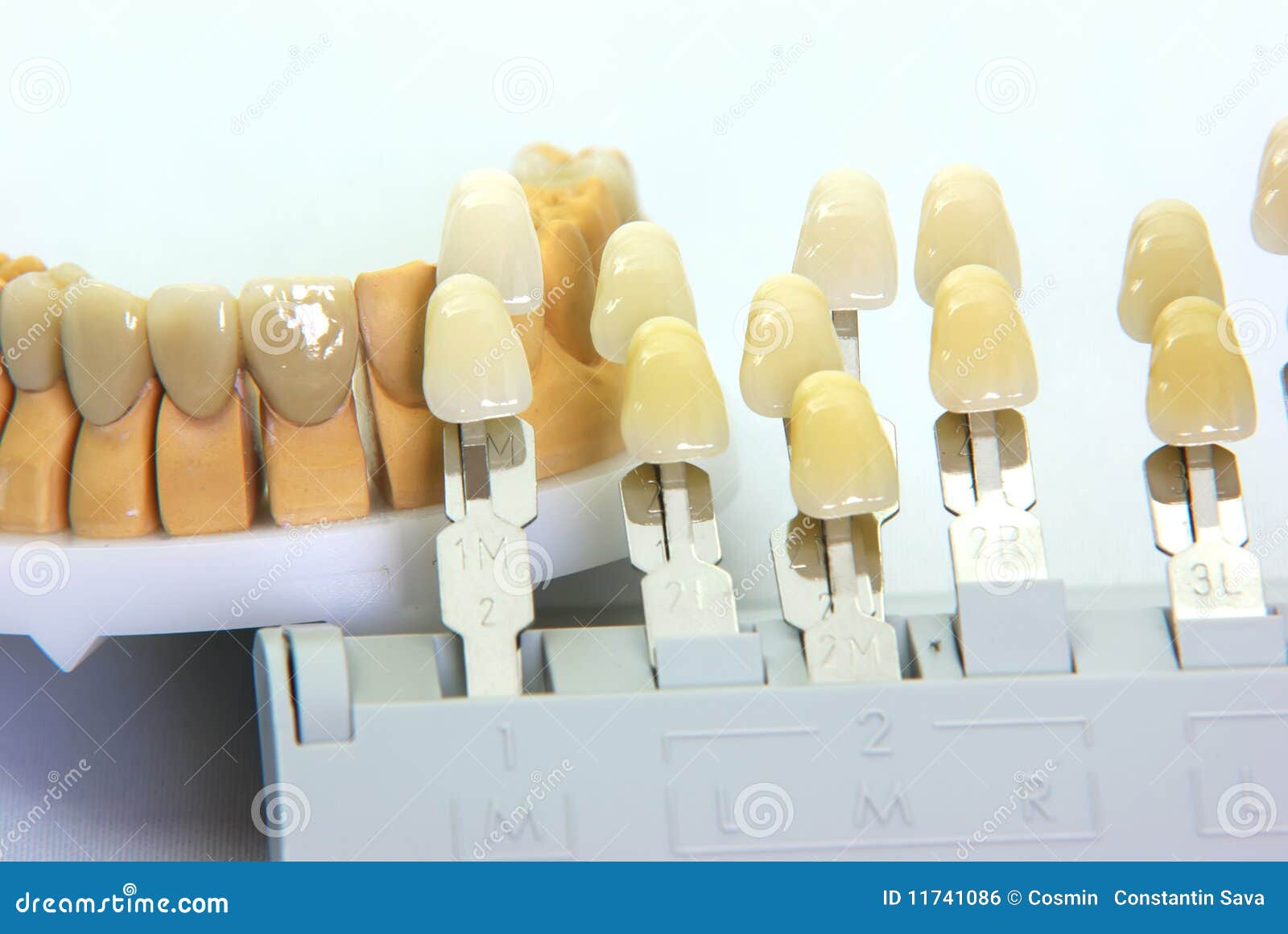 Color Guide and Porcelain Teeth Stock Photo Image of anatomy, easy