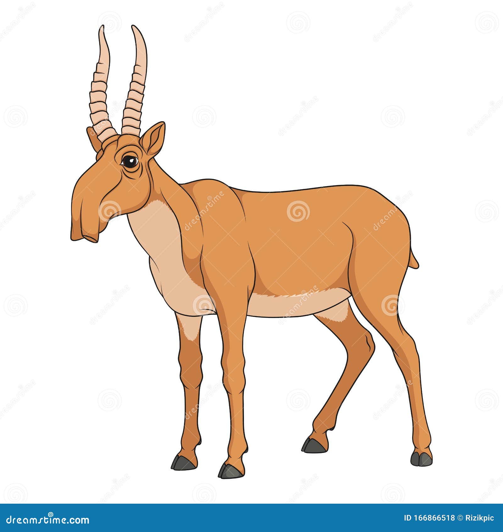 Download Color Illustration With The Image Of The Saiga Antelope. Isolated Vector Objects. Stock Vector ...