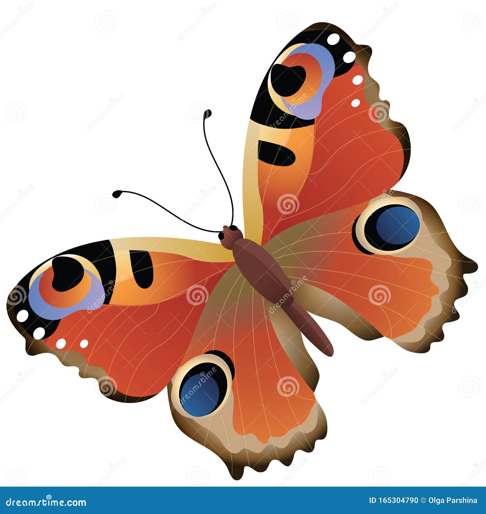 color image of colorful butterfly on white background. insects.   for kids