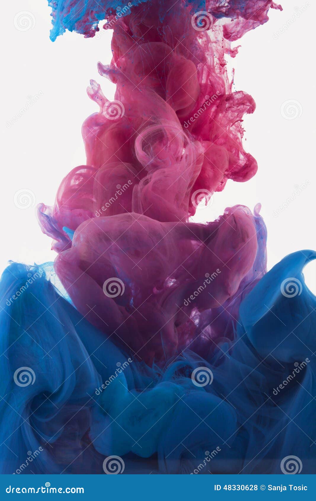 Color Ink Drop in Water. Redish Violet, Deep Blue Stock Photo - Image ...