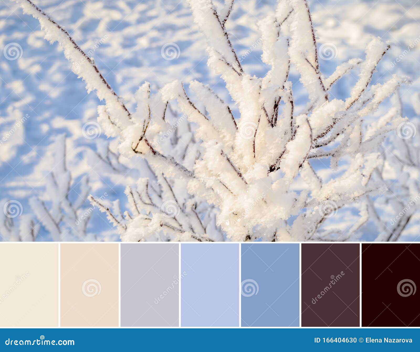 Color Matching Palette From Frost Blade Grass In Snowdrift Winter Nature Abstract Background In Cold Blue Colors Stock Photo Image Of Scheme Season 166404630 https www dreamstime com color matching palette frost blade grass snowdrift winter nature abstract background cold blue colors image166404630