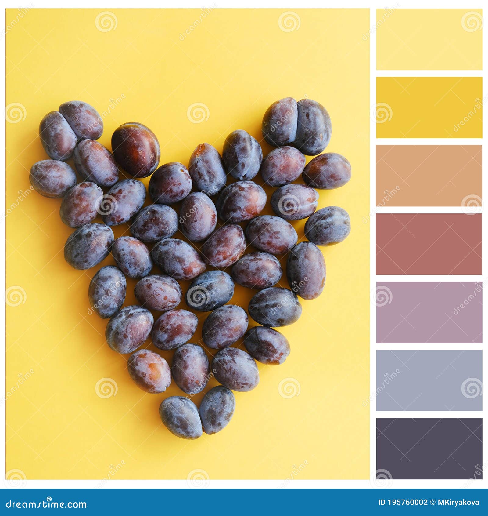 Color Palette Yellow And Purple Harmonious Colour Combination Stock Photo Image Of Tone Print