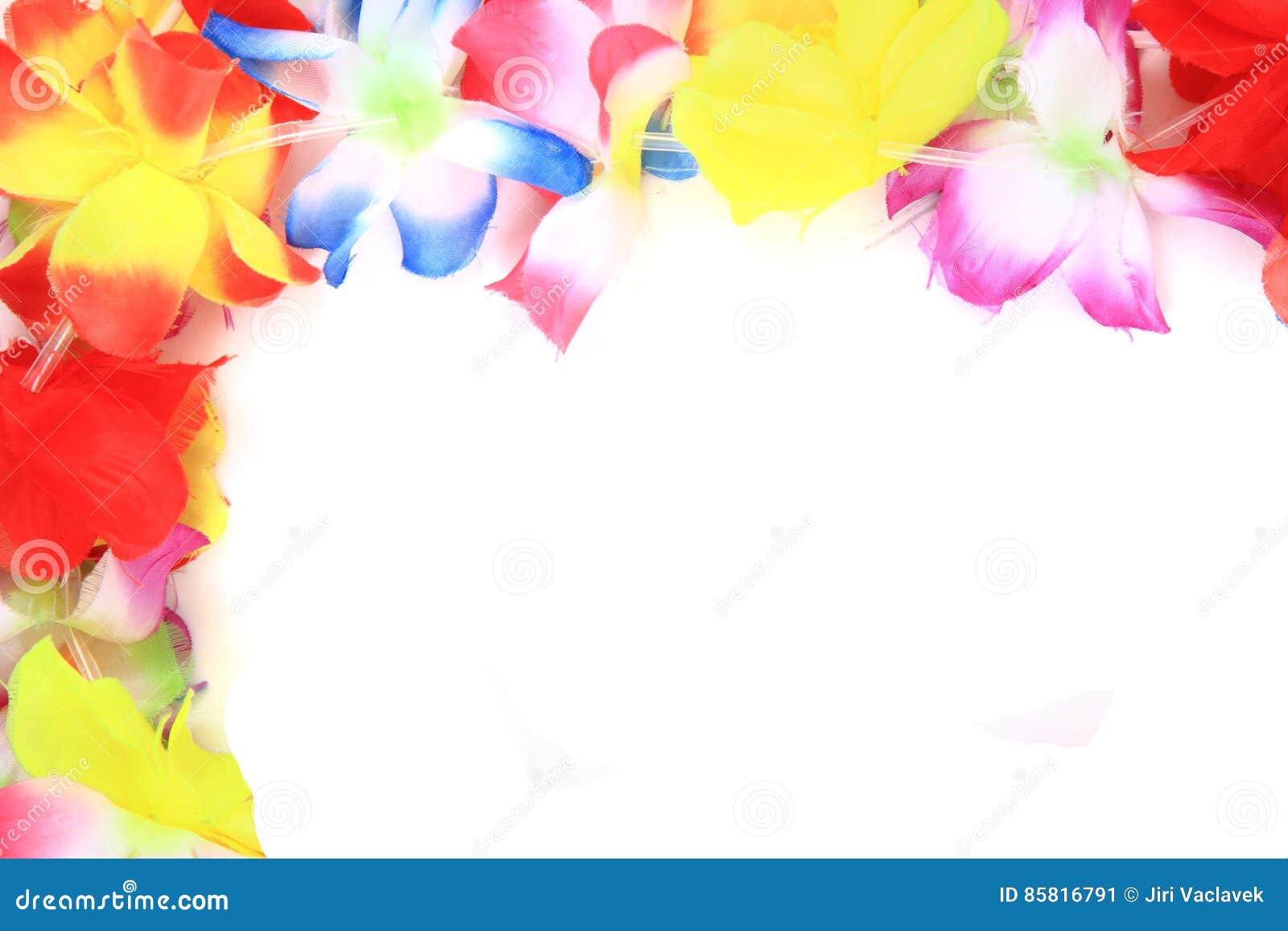Color Plastic Hawaii Flowers Background Stock Image Image of rainbow