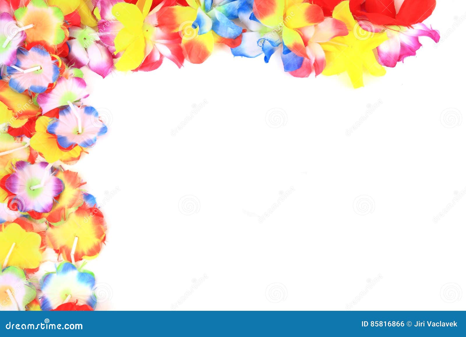 Color Plastic Hawaii Flowers Background Stock Photo Image of plastic
