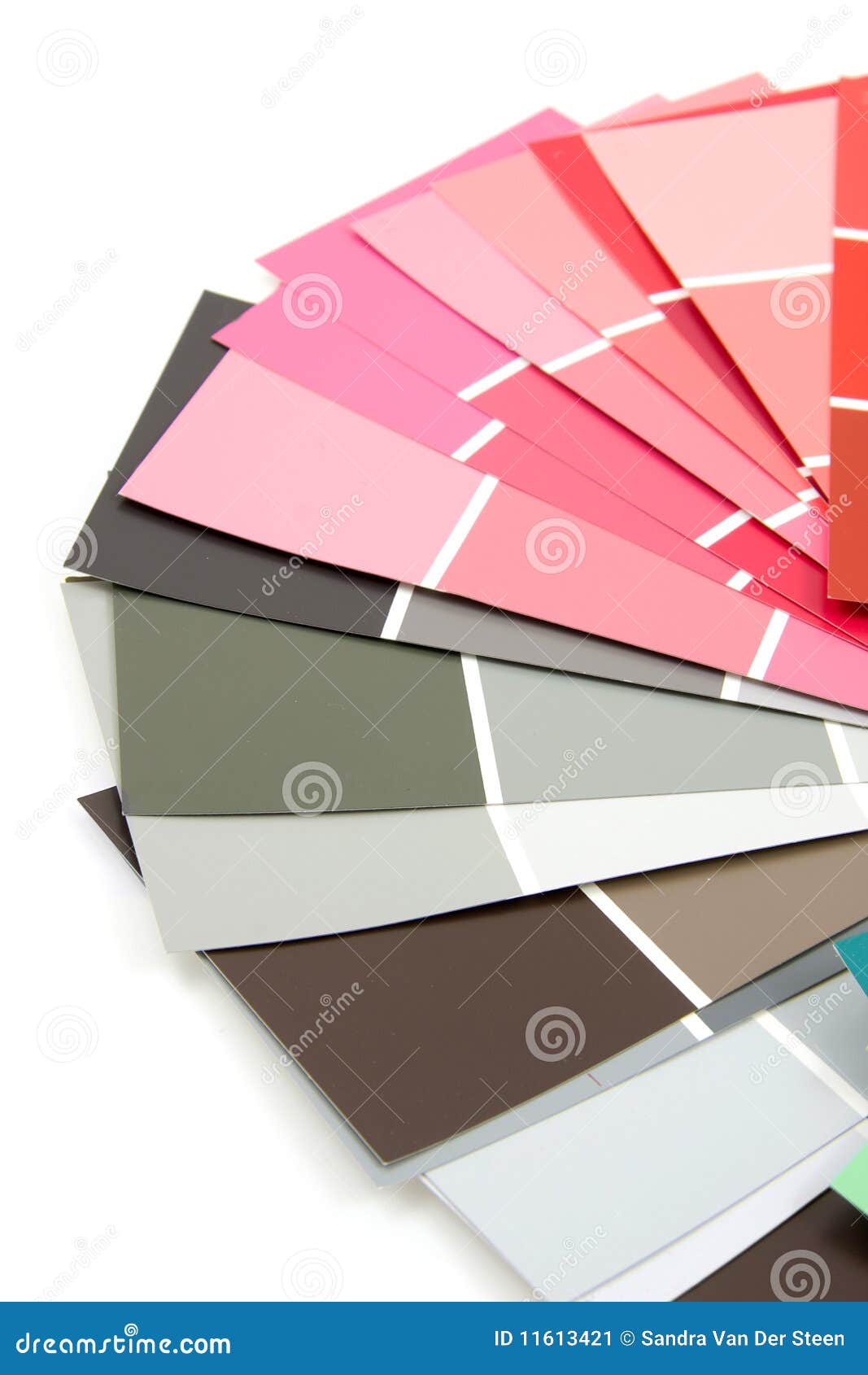 Color samples for painting stock image. Image of paint 11613421