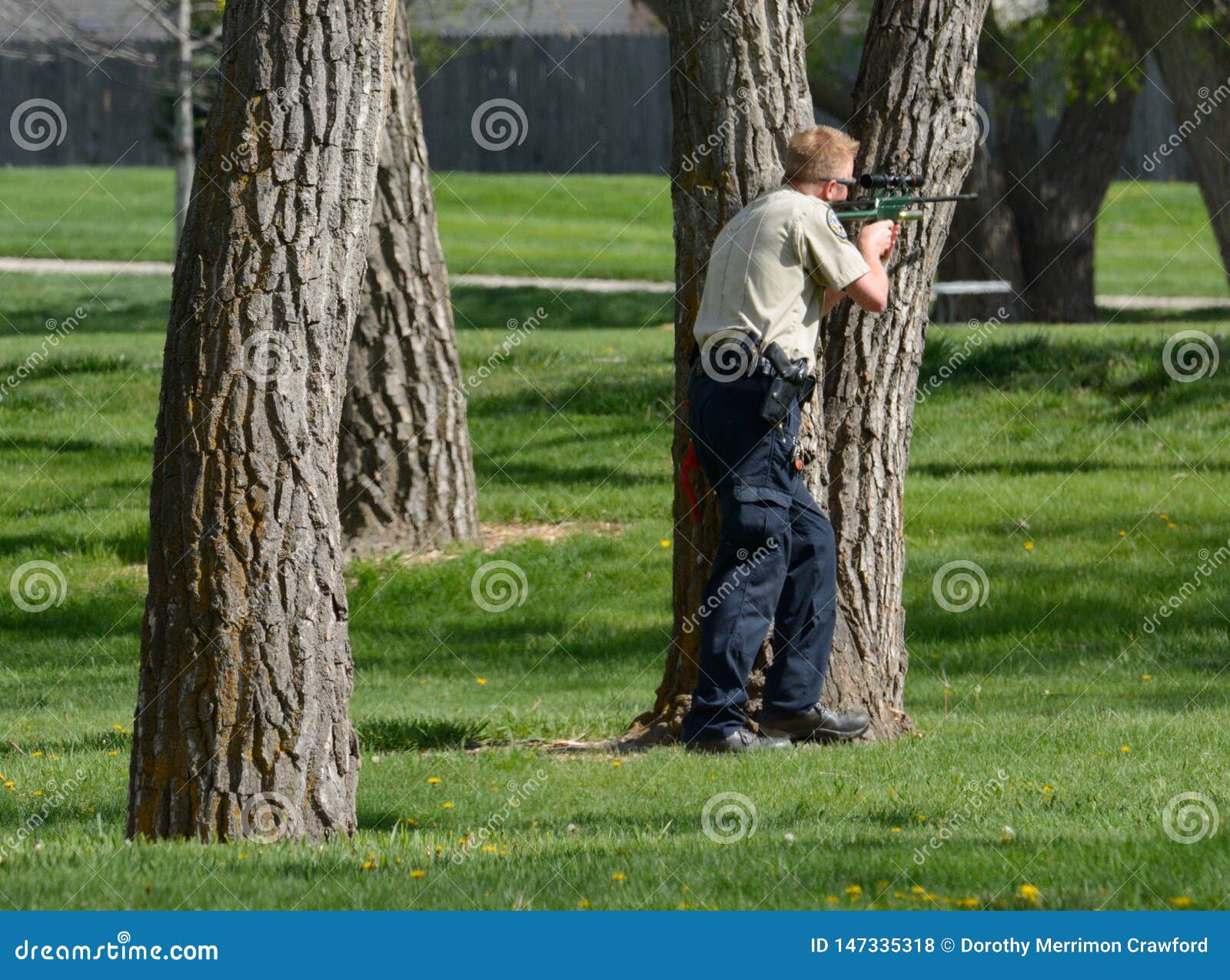 Shooting Tranquilizer at Urban Wildlife Editorial Stock Photo - Image of hiding, front: