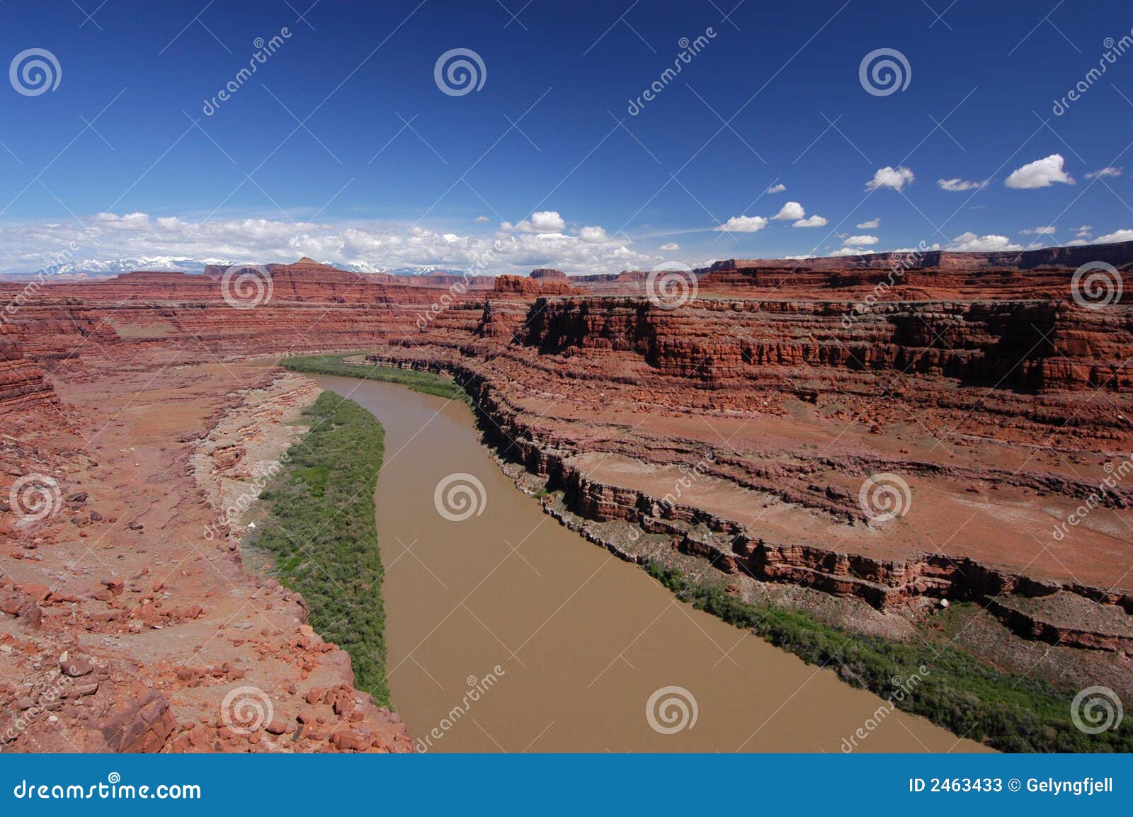 Colorado River stock image. Image of quiet, hiking, vacation - 2463433