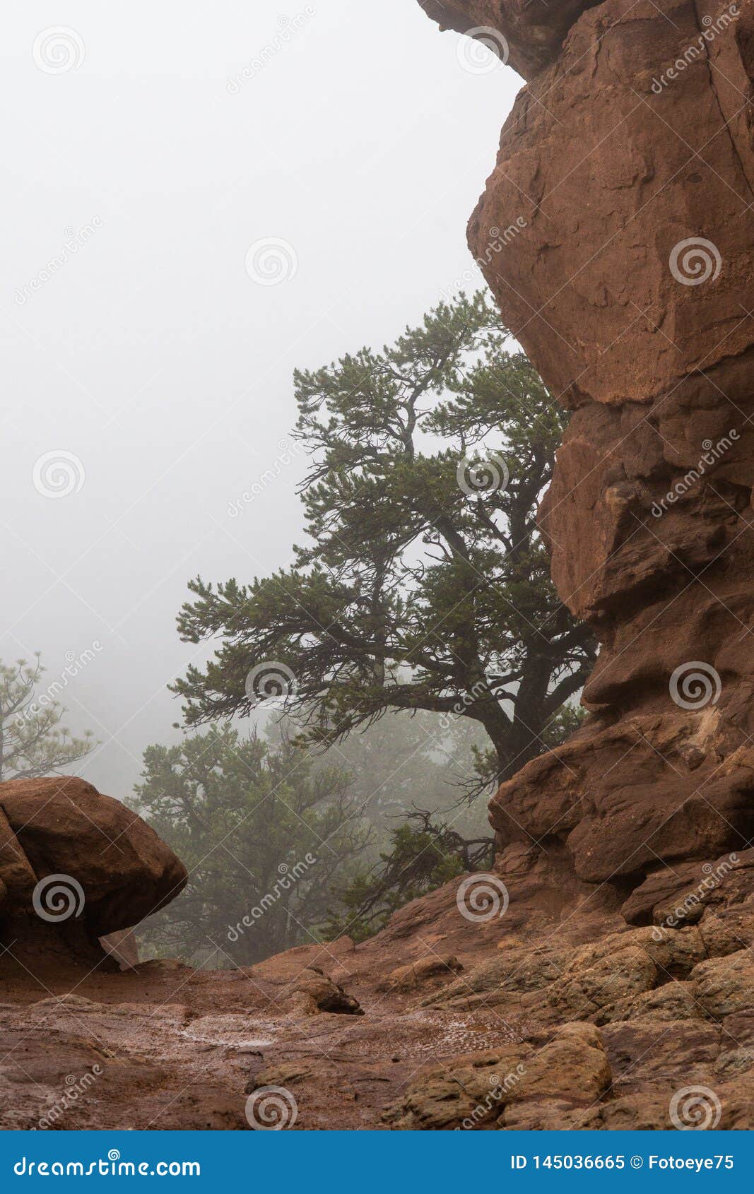 Colorado Springs Garden Of The Gods Rocky Mountains Adventure