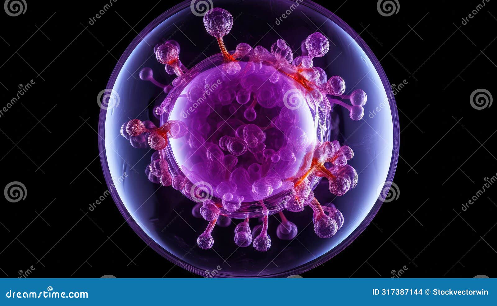 coloration purple cells