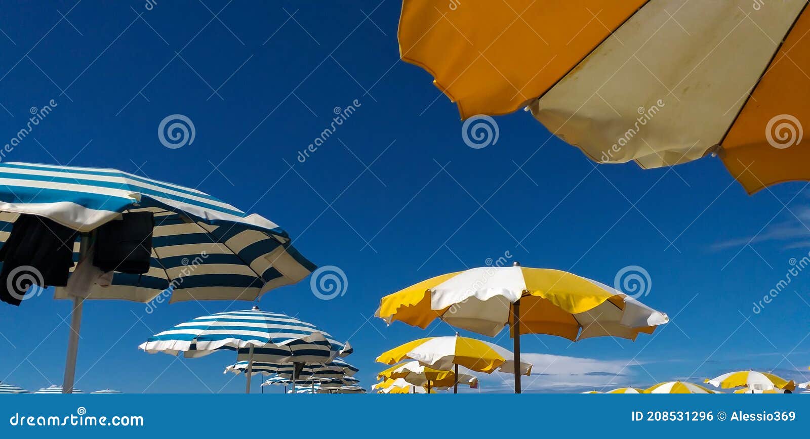 colored beach umbrella