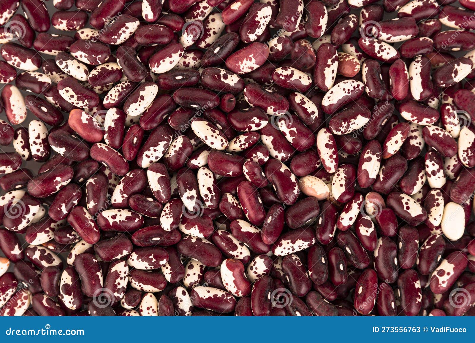 Colored Beans, Redwhite Bean Seeds As a Background Stock Image Image