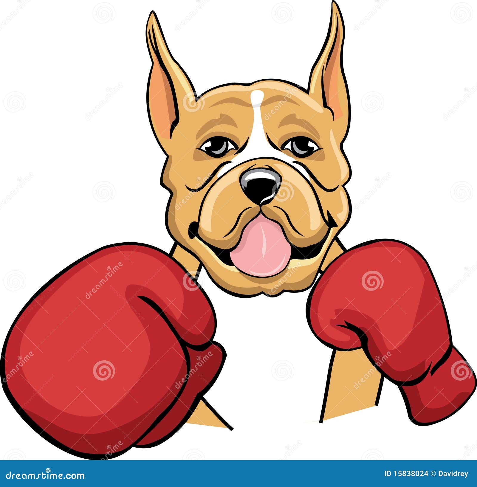 colored boxing boxer