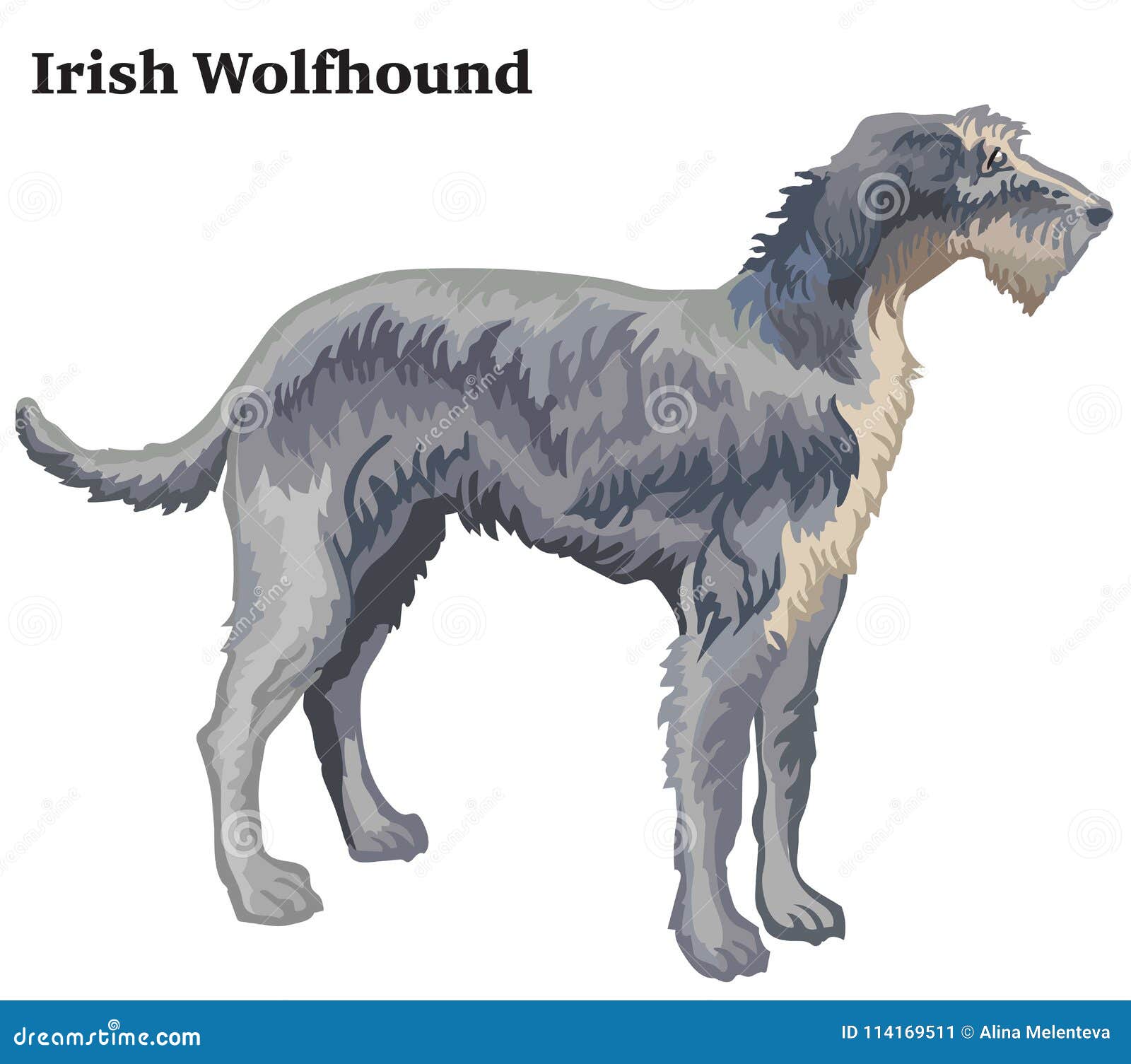 Heavyweight Pigment-Dyed Hooded Sweatshirt with Irish Wolfhound Silhouette 