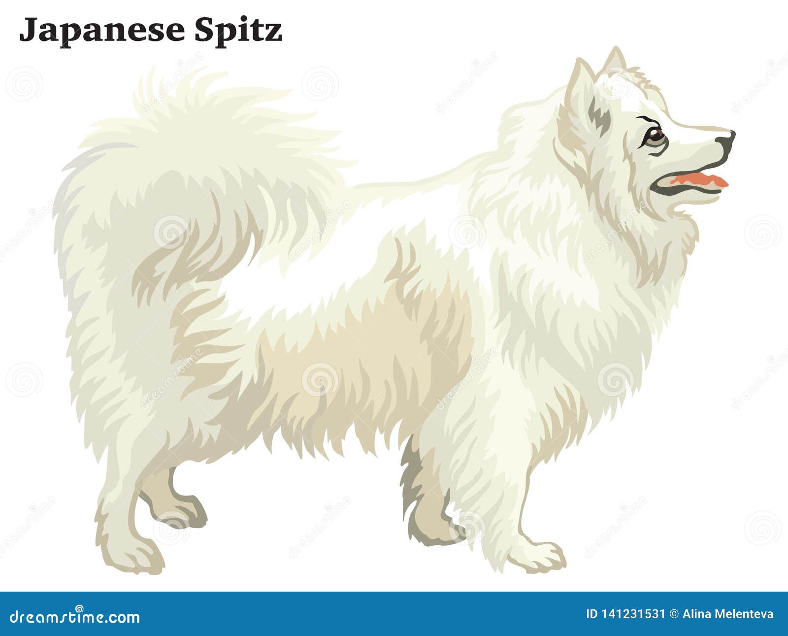 Japanese Spitz Stock Illustrations 119 Japanese Spitz Stock Illustrations Vectors Clipart Dreamstime Japanese Spitz Stock Illustrations 119 Japanese Spitz Stock Illustrations Vectors Clipart Dreamstime