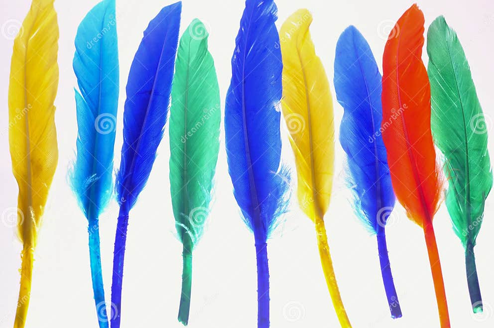 Colored feathers stock image. Image of feathers, lighting 55883977