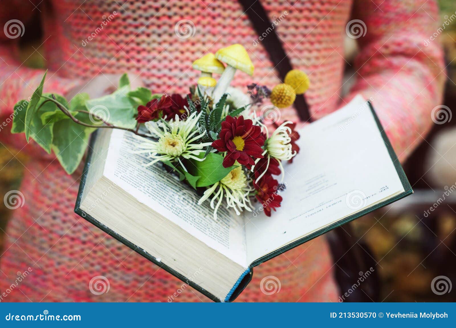 Colored Flower Arrangement in a Vintage Book in the Hands of a Model. Stock Photo Image of