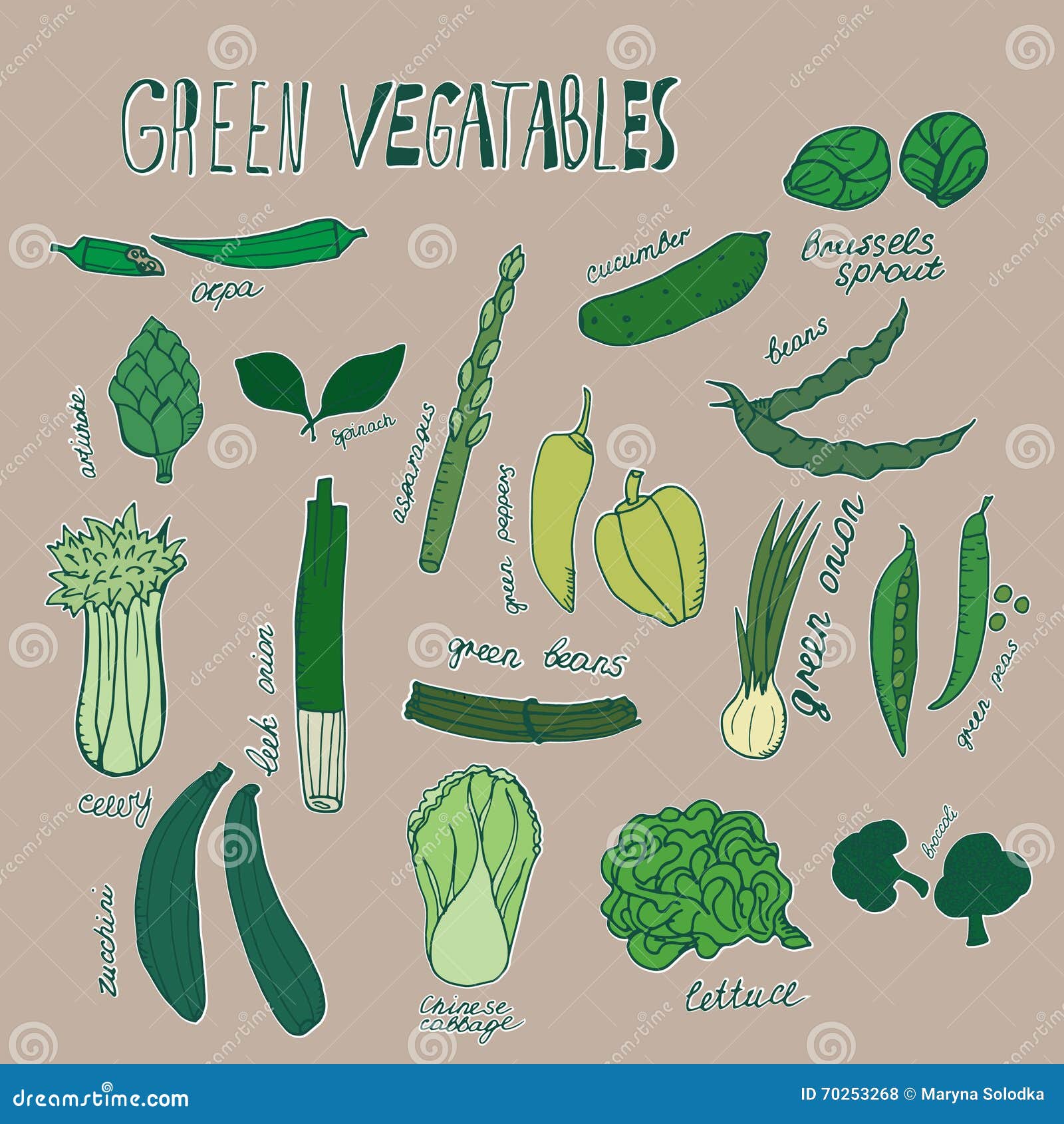 Colored Green Vegetables. Hand Drawn Objects With White Outline On