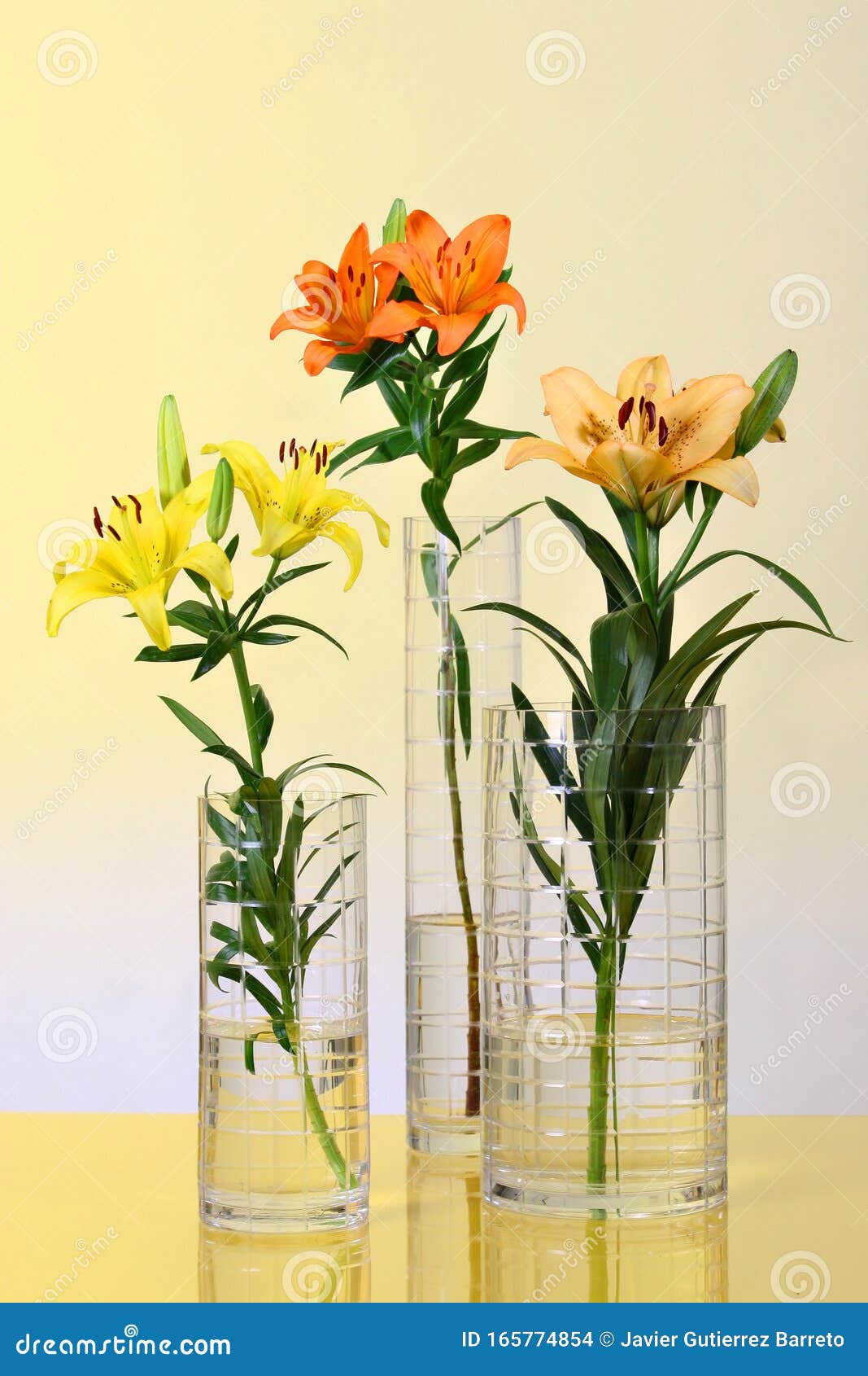 Colored Lilies in Glass Vases Stock Photo Image of lily, glass 165774854
