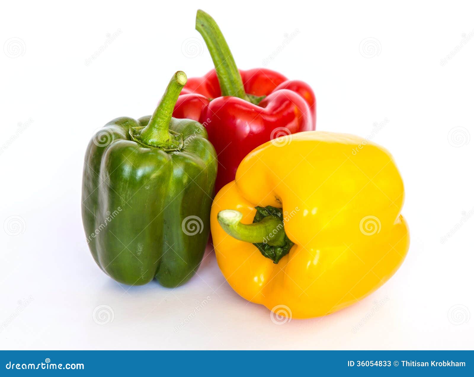 Colored Paprika (pepper) Isolated Stock Image Image of isolated, stem