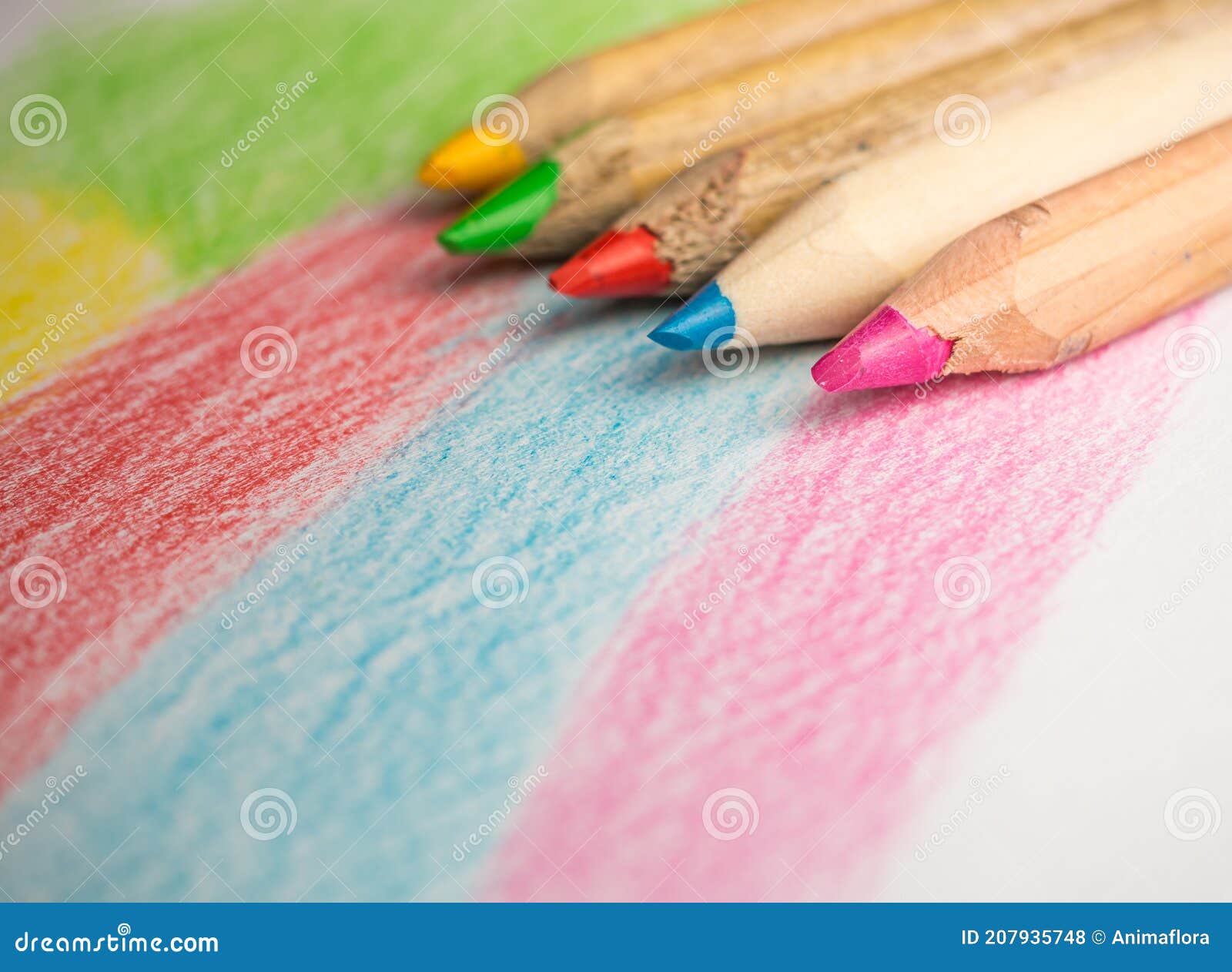Colored Pencil on a Multicolored Sheet Stock Photo Image of supply