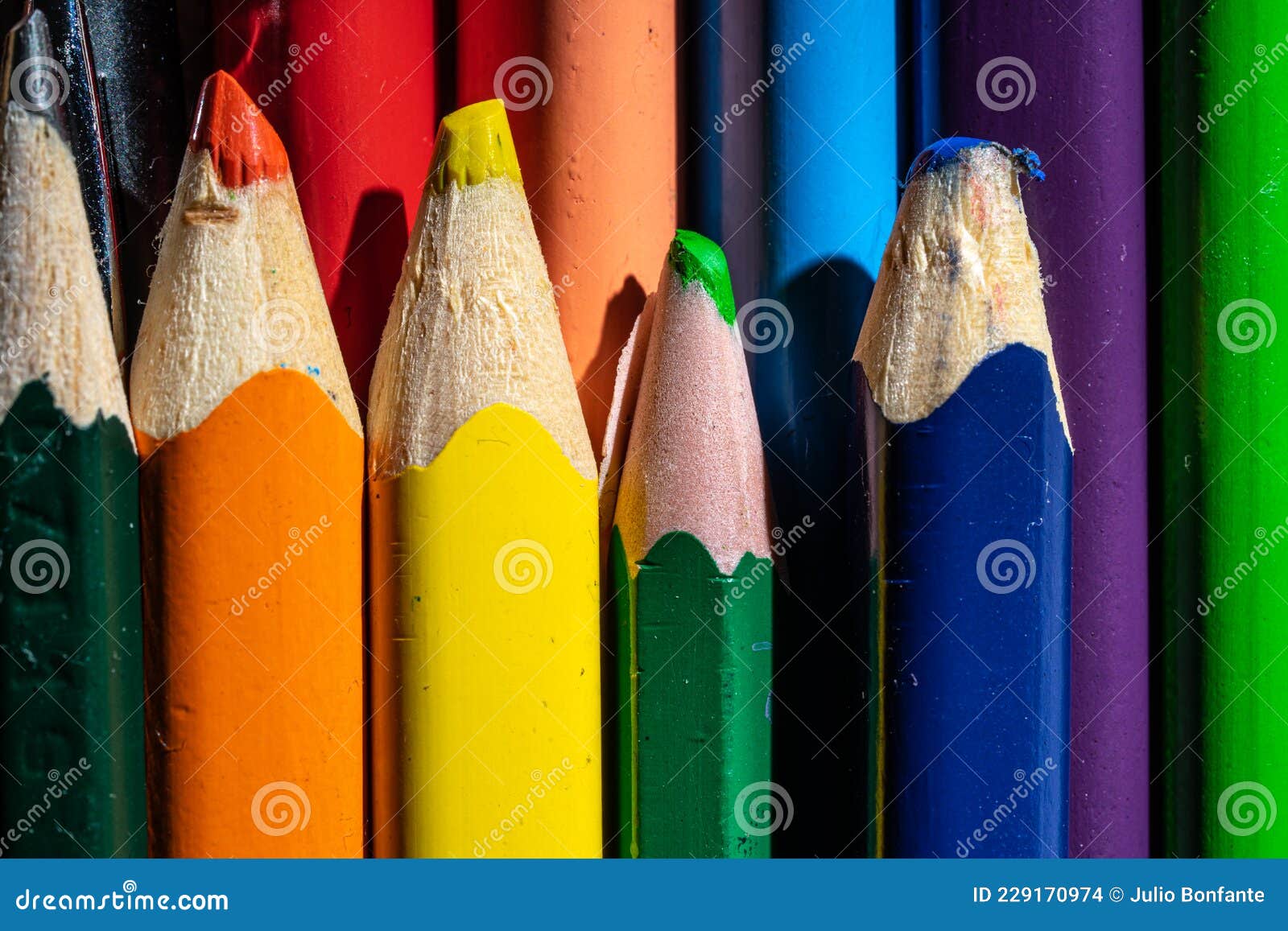 Colored Pencils in Assorted Colors Stock Photo Image of drink, wood 229170974