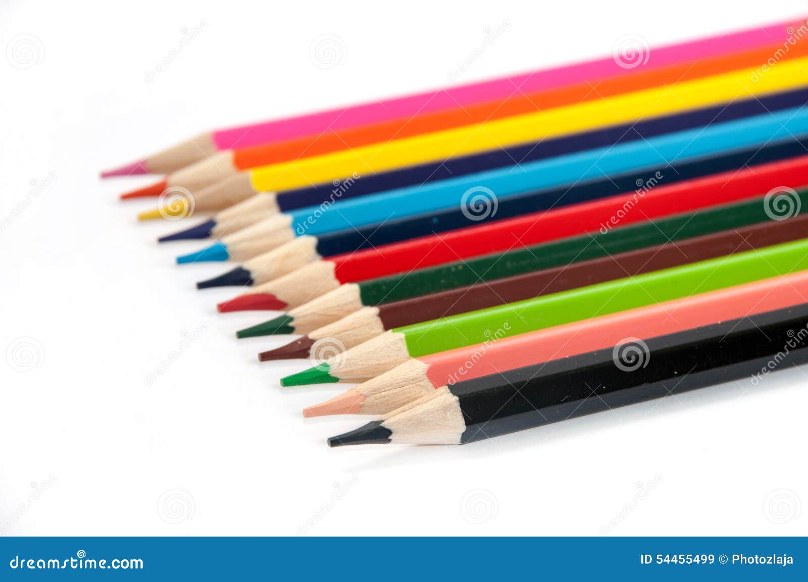 Colored Pencils Lined Up on a White Background Stock Image Image of
