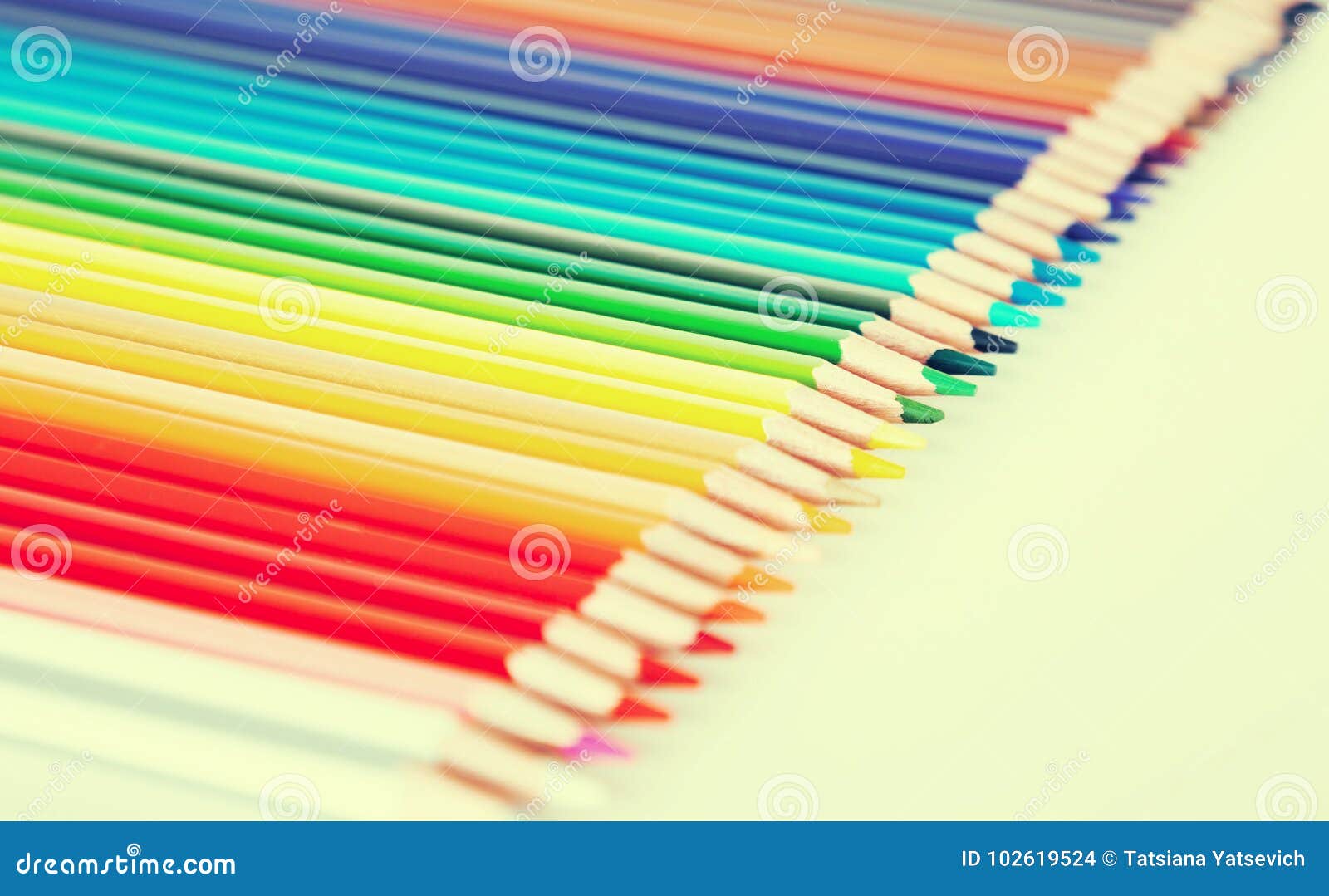 Colored Pencils Lying in Row Stock Photo Image of chromatic, pencil