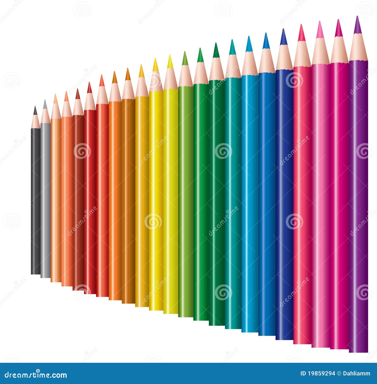 Colored Pencils with Reflection Stock Vector Illustration of palette, office 19859294