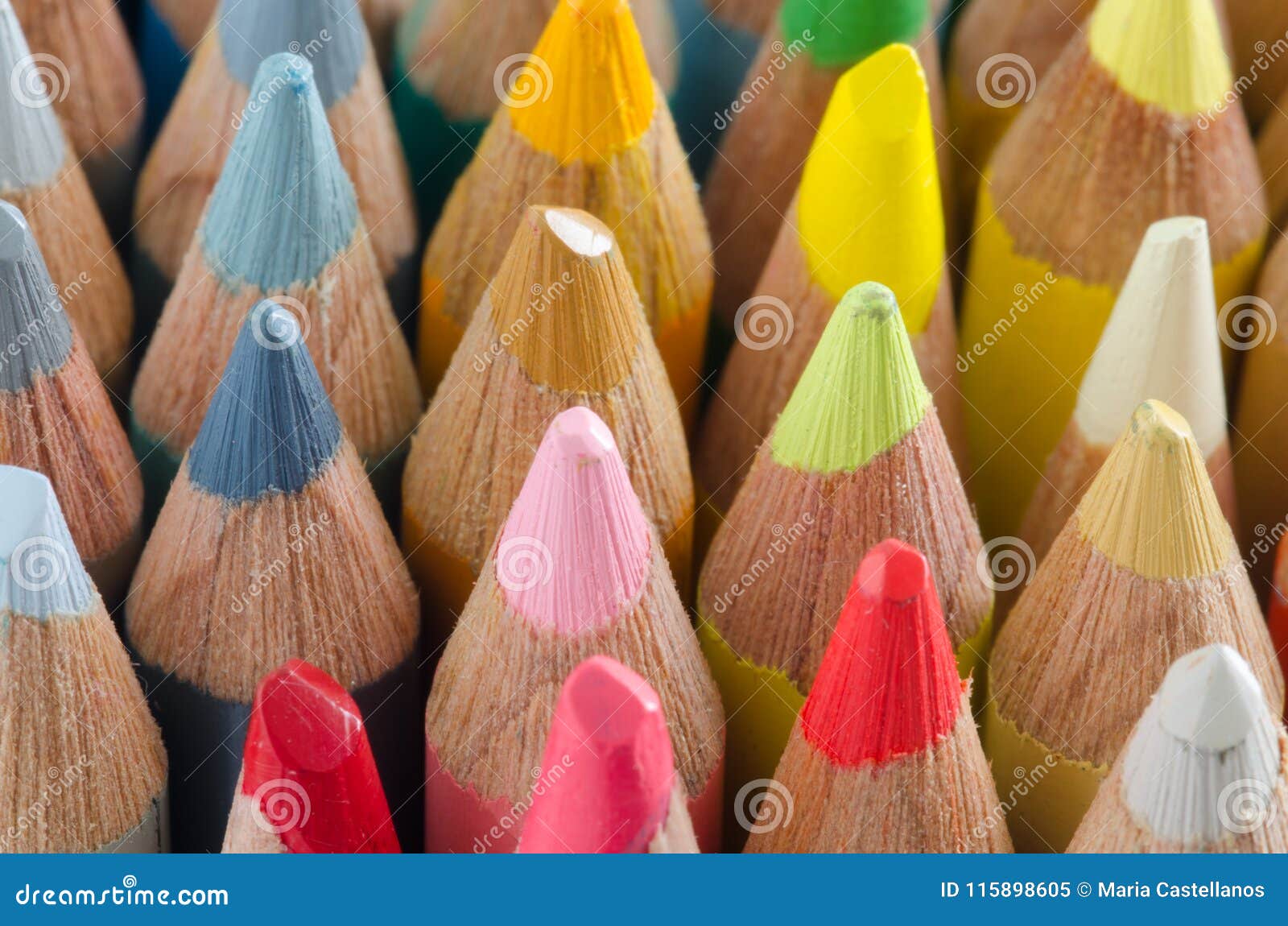 Colored Pencils of Wood. Macro of the Tips. Stock Image Image of
