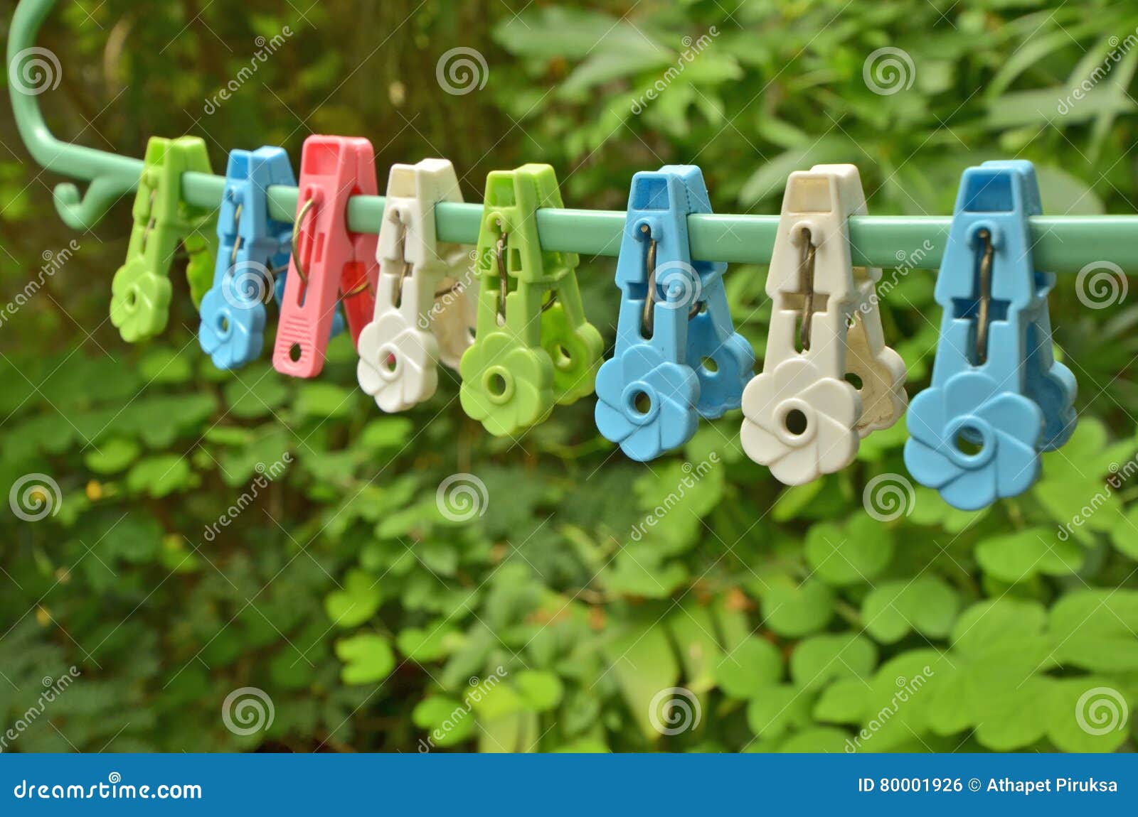 Colored Plastic Clothespin on Green Hanger Stock Photo Image of green