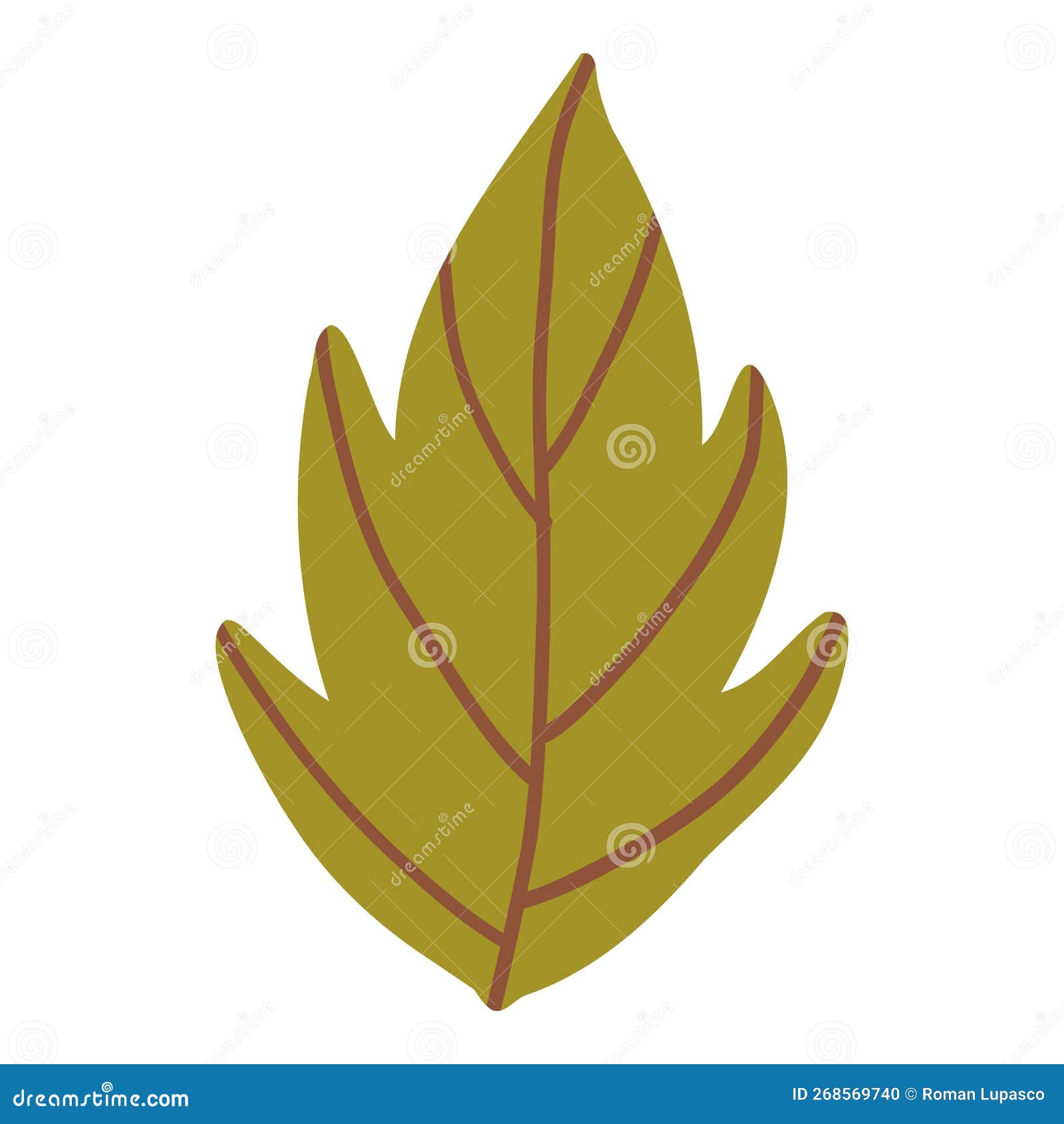 colored pumpkin leaf hand drawn  graphic . colorful drawing autumn vegetable whole, slice and halves