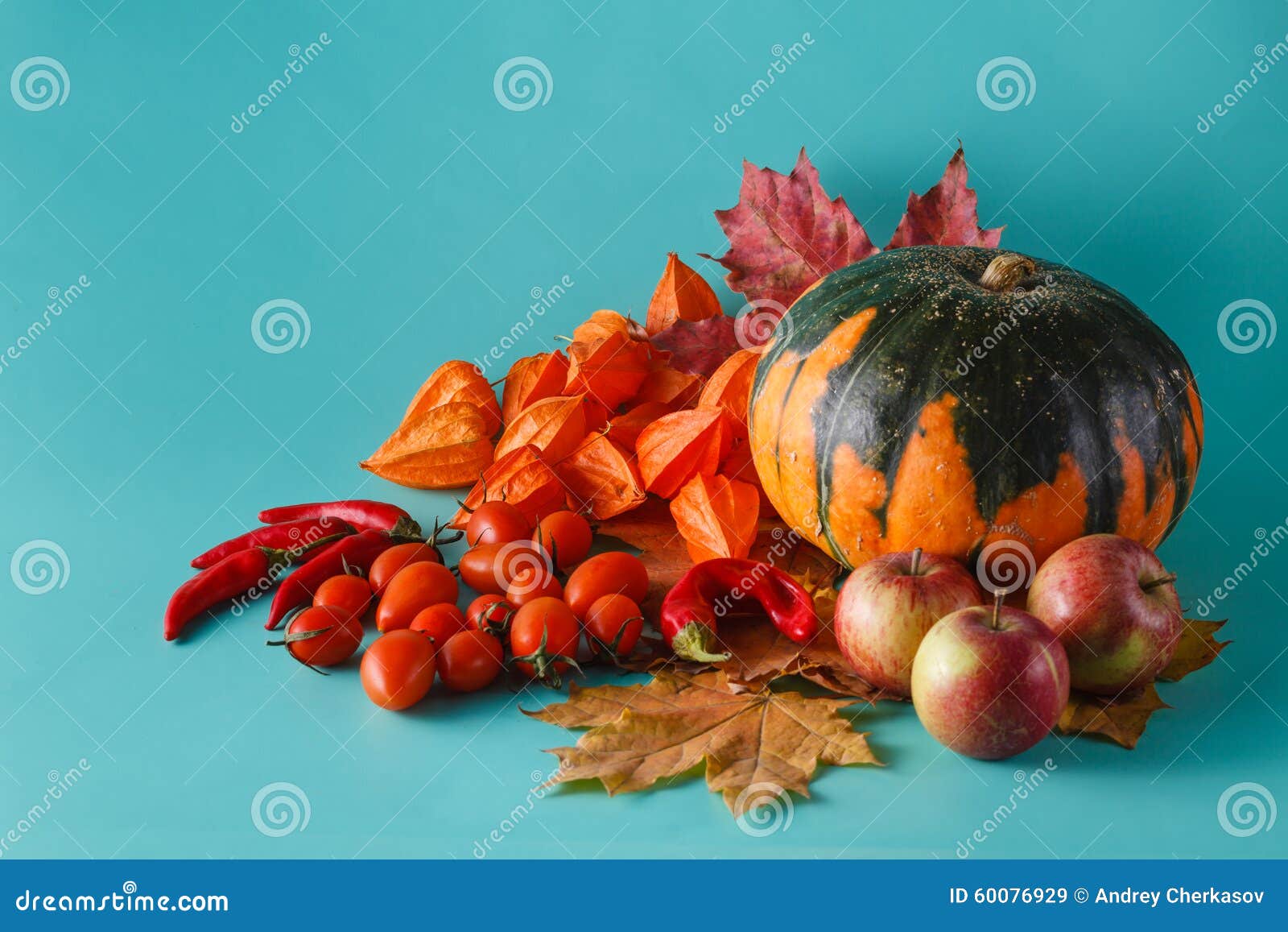colored pumpkin shadowless background