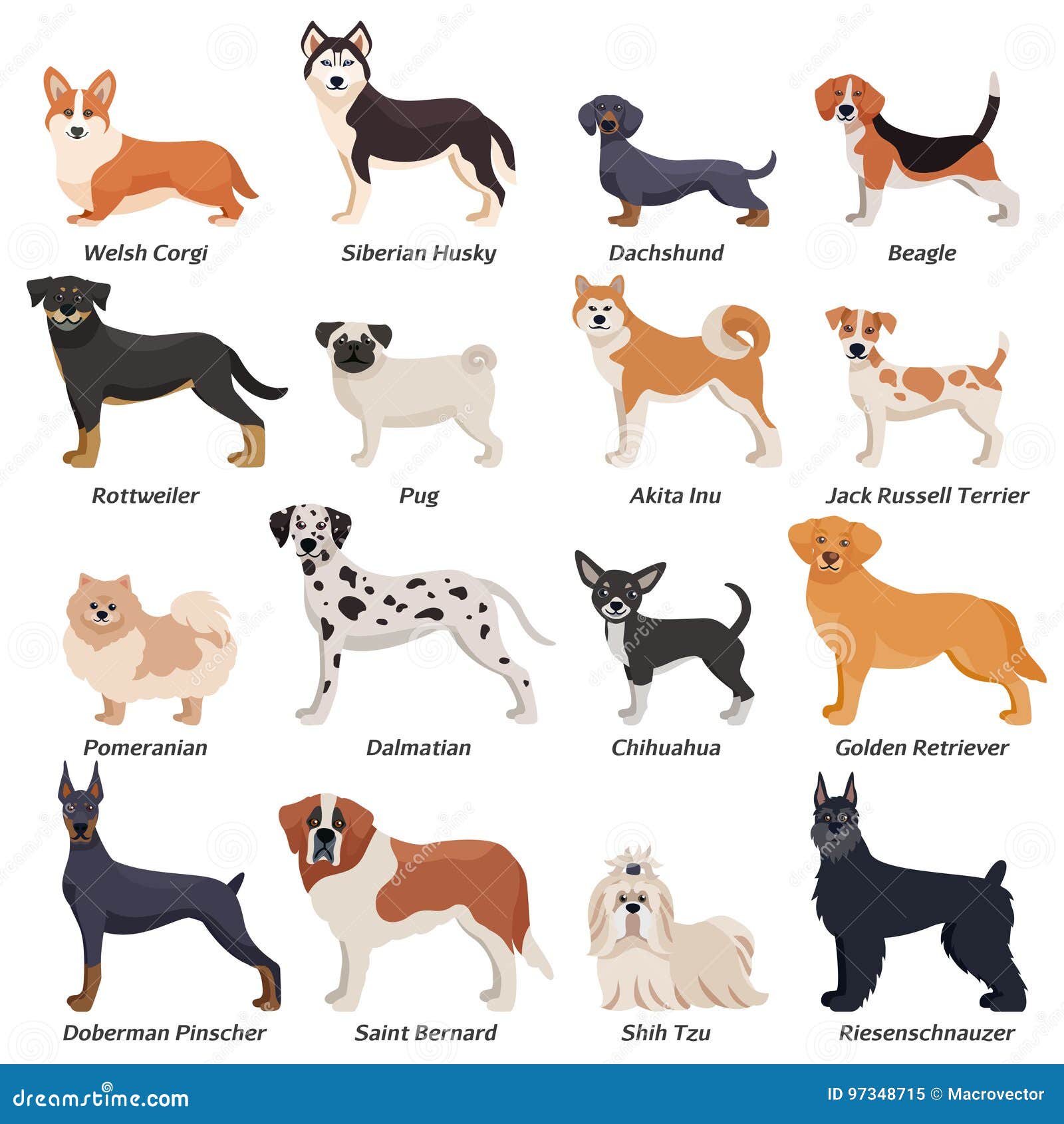 colored purebred dogs icon set
