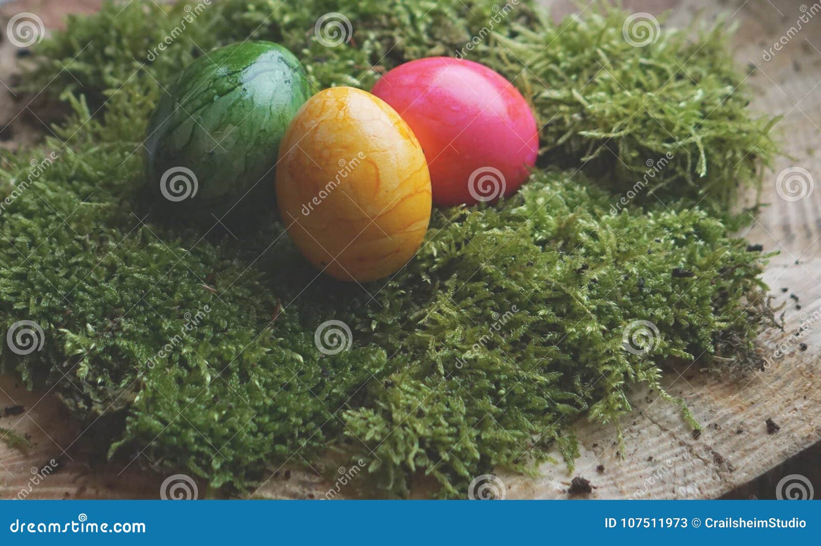 Colored Real Easter Eggs on Real Green Moss Stock Image - Image of pink