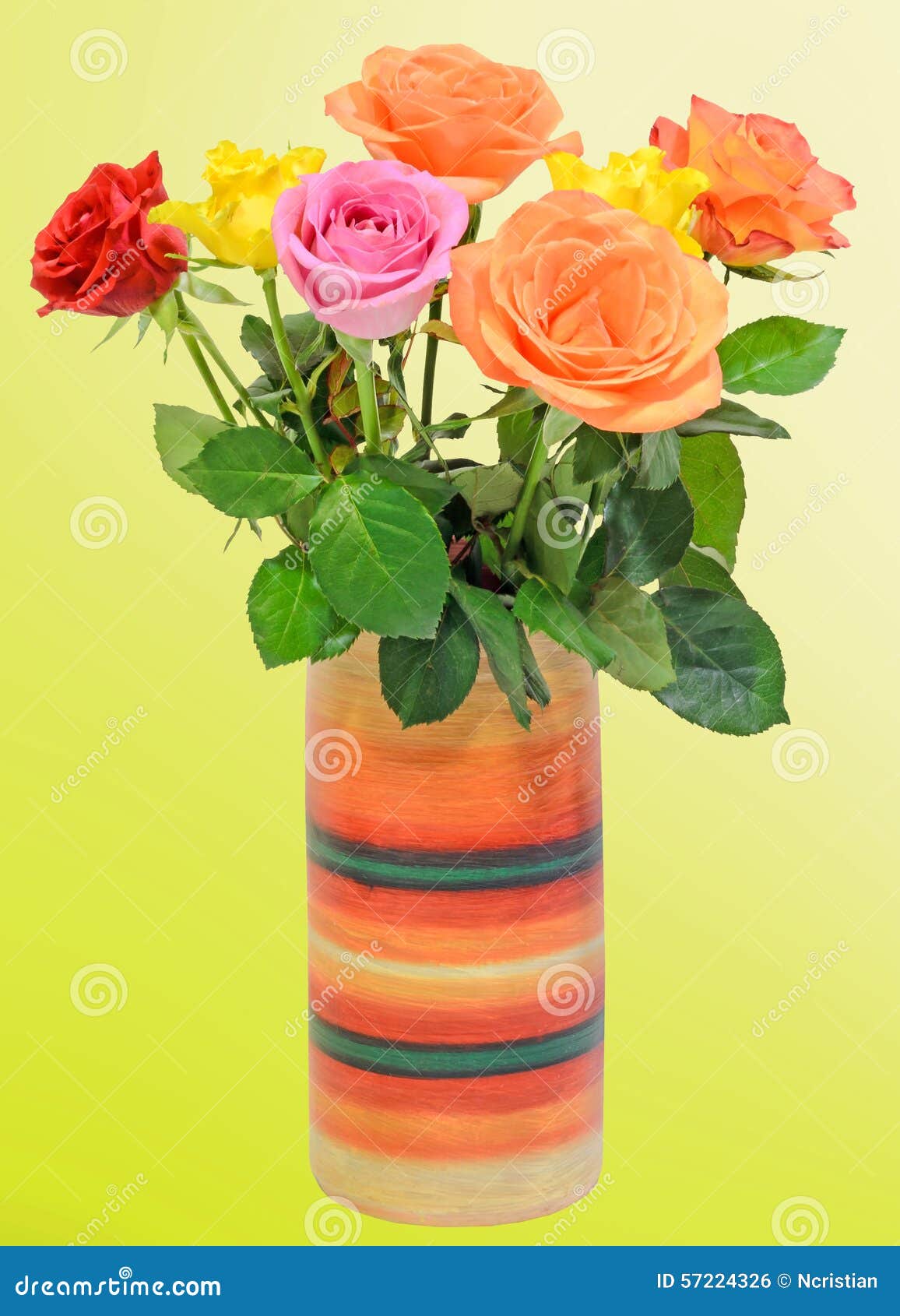 Colored Roses Flowers in a Vibrant Colored Vase. Stock Photo Image of