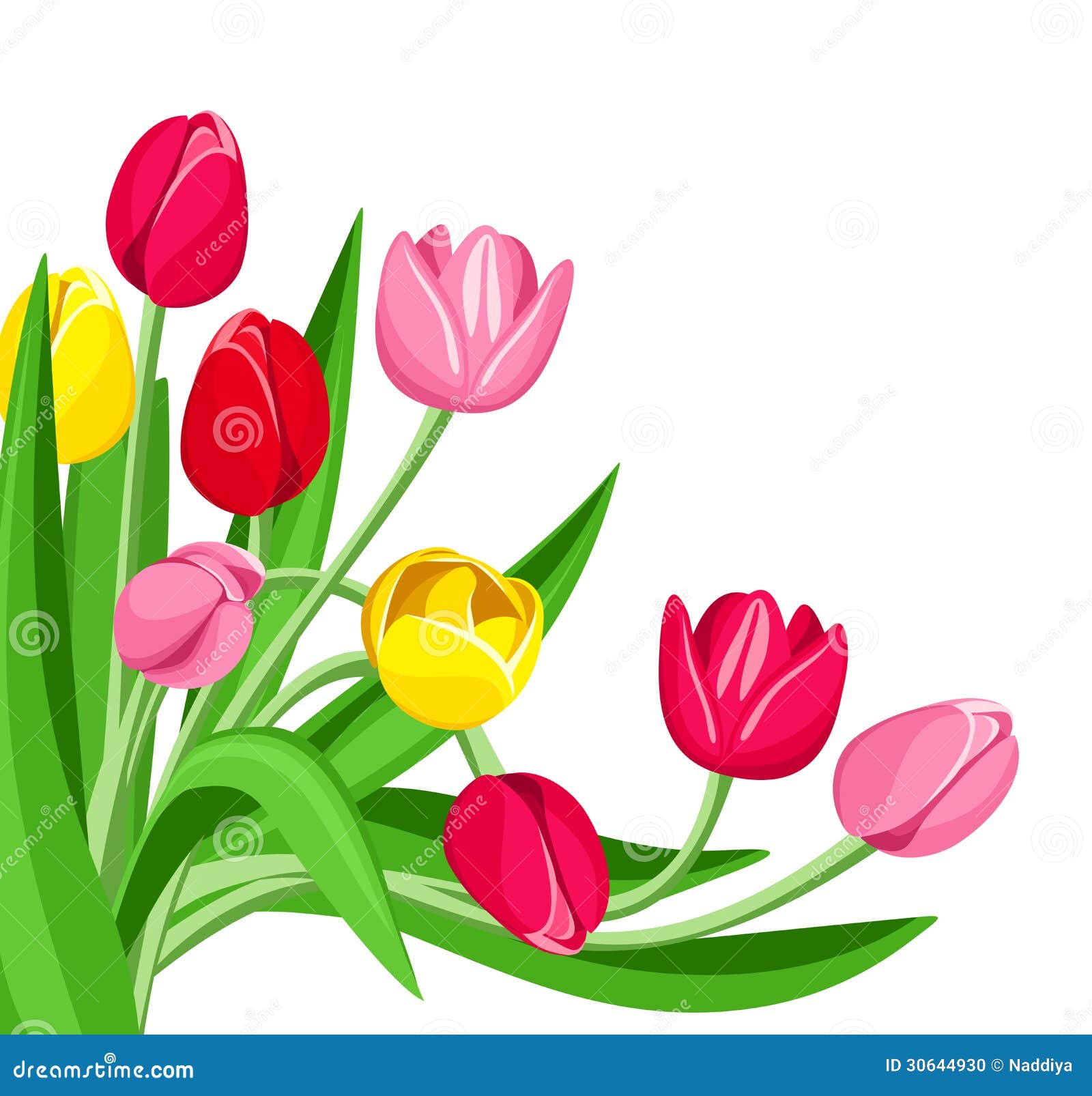 Tulips Cartoons, Illustrations & Vector Stock Images 35307 Pictures
