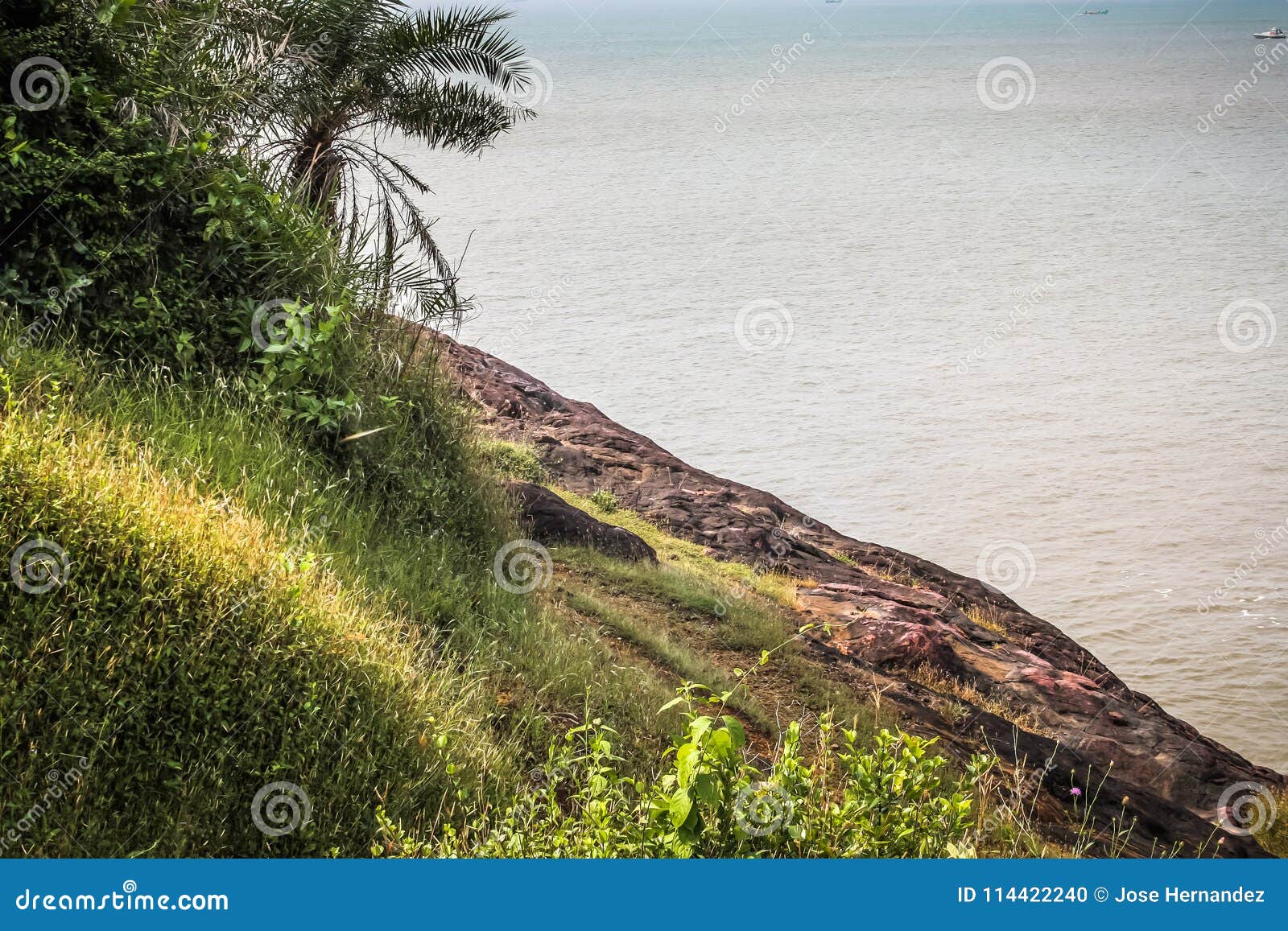 Colores De La India Meridional Foto de archivo Imagen de flor, cielo