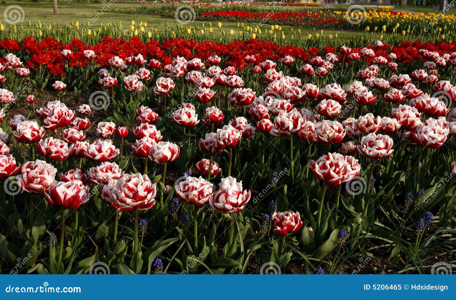 Colores De La Primavera Imagen. Imagen 5206465