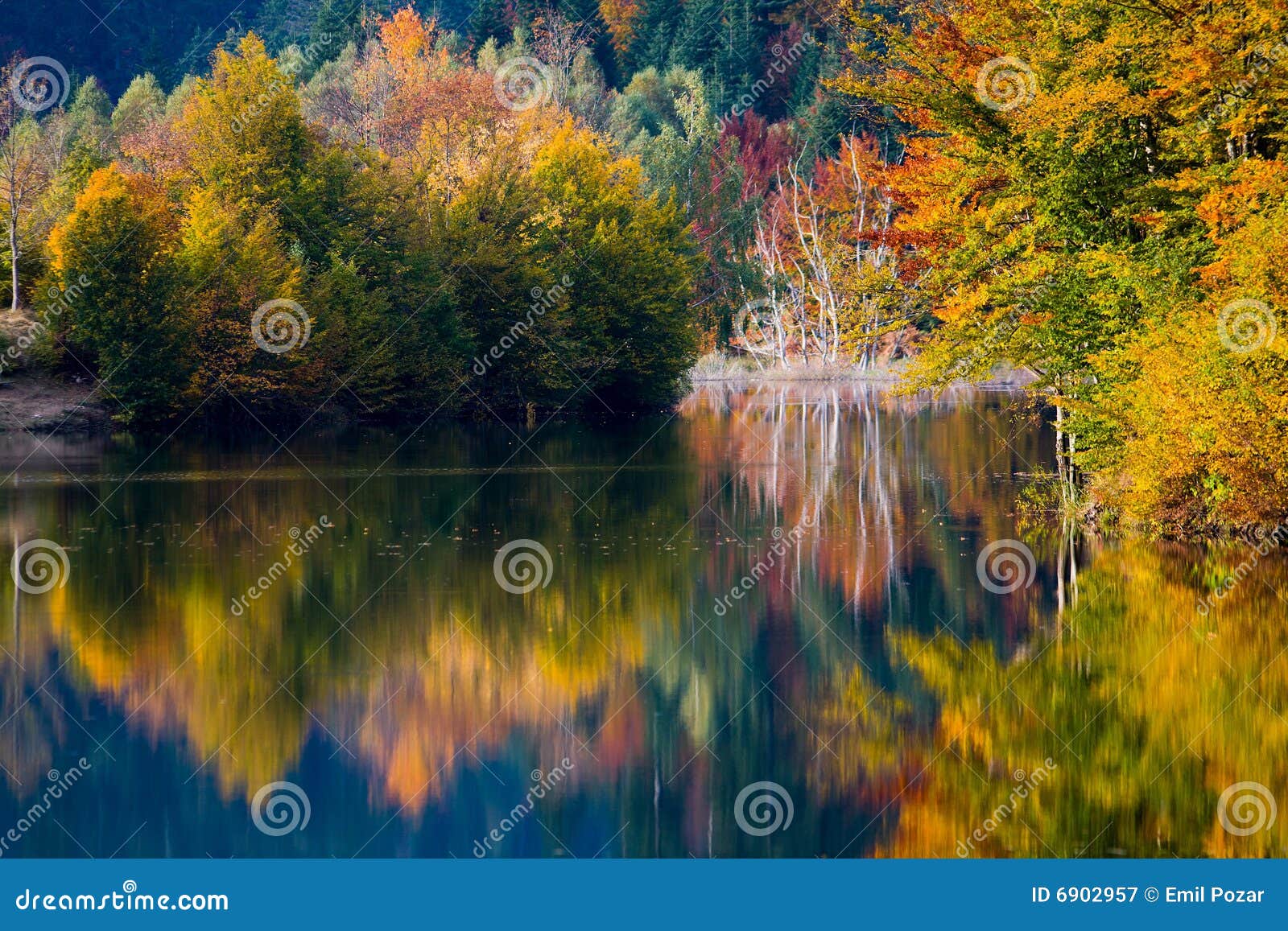 Colores vivos del otoño en el lago