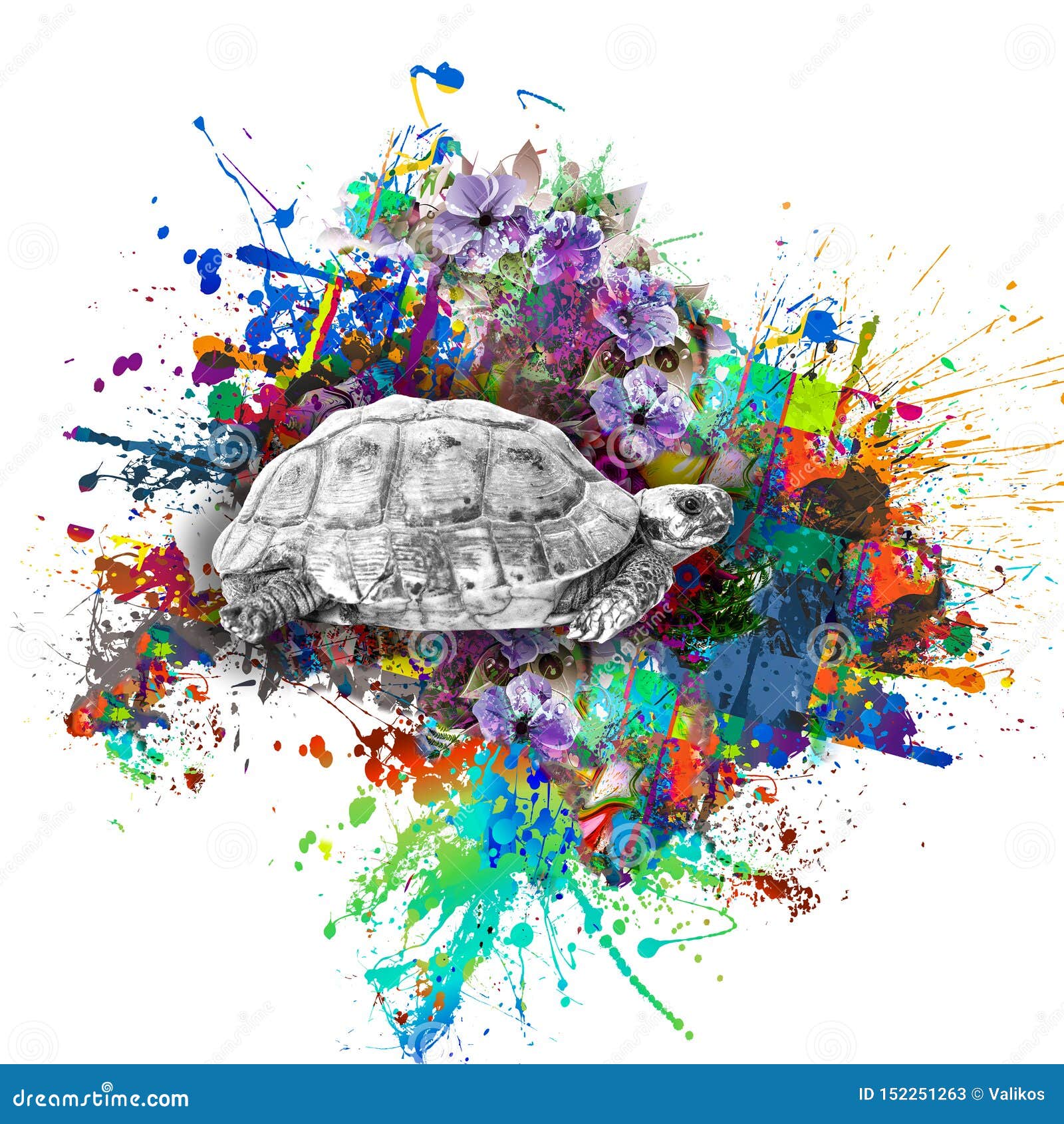 Colorful Abstract Background with Turtle Isolated on White Backdrop