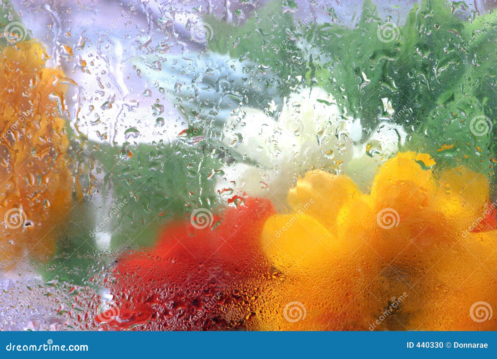 colorful abstract impressions. uplifiting floral rainy textures.