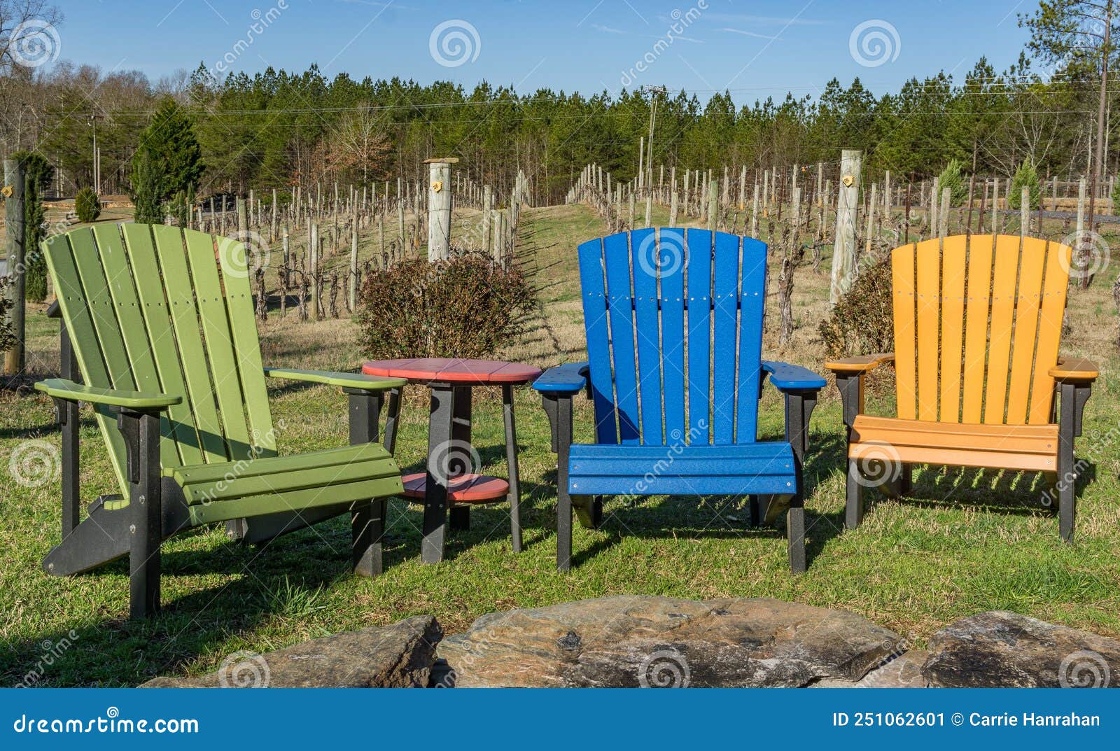 Colorful Adirondack Chairs in a Vineyard Stock Image Image of rural