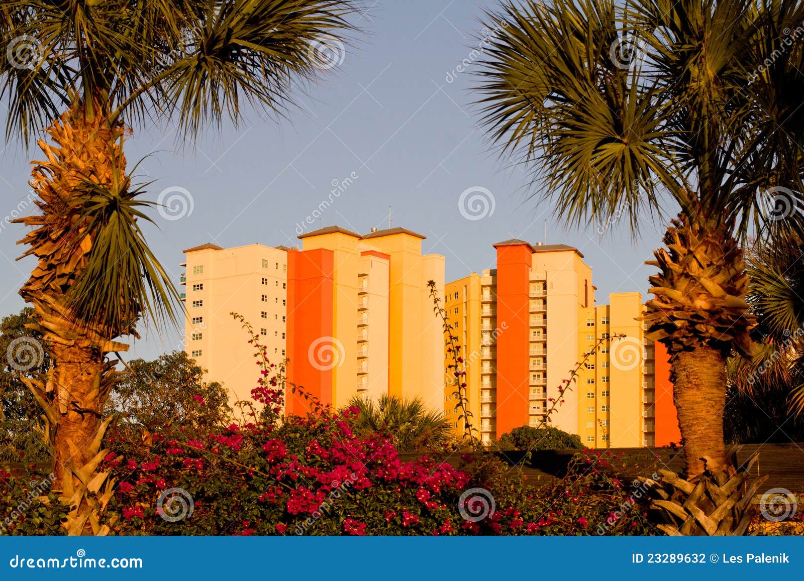 Colorful Apartment Buildings and Palm Trees Stock Photo Image of