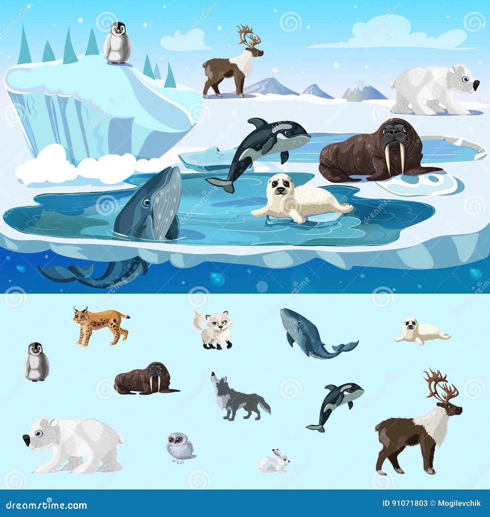 Colorful Arctic Wildlife Concept Stock Vector - Illustration of ...