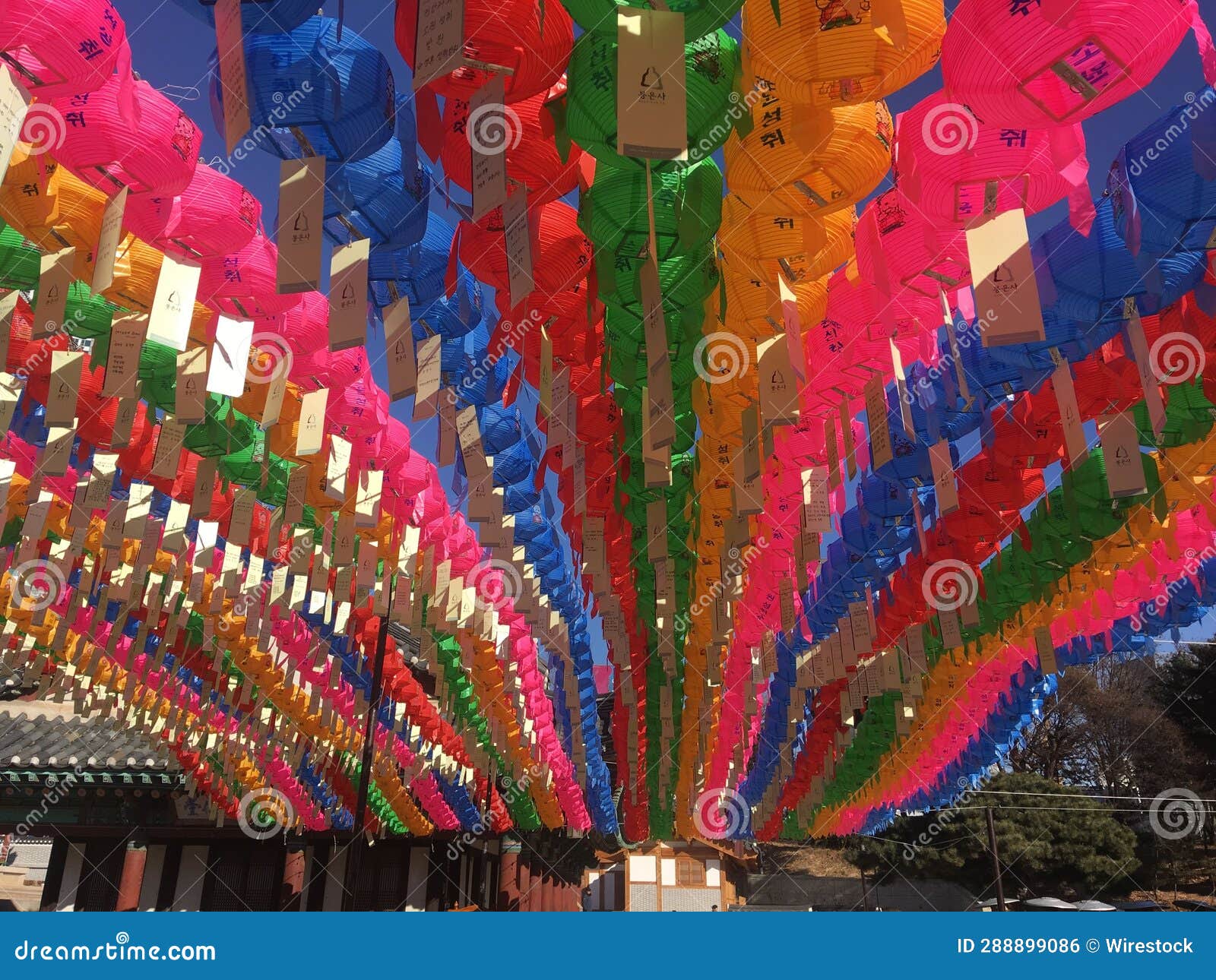 Colorful Array of Lanterns Hang from the Ceiling in a Festive Display